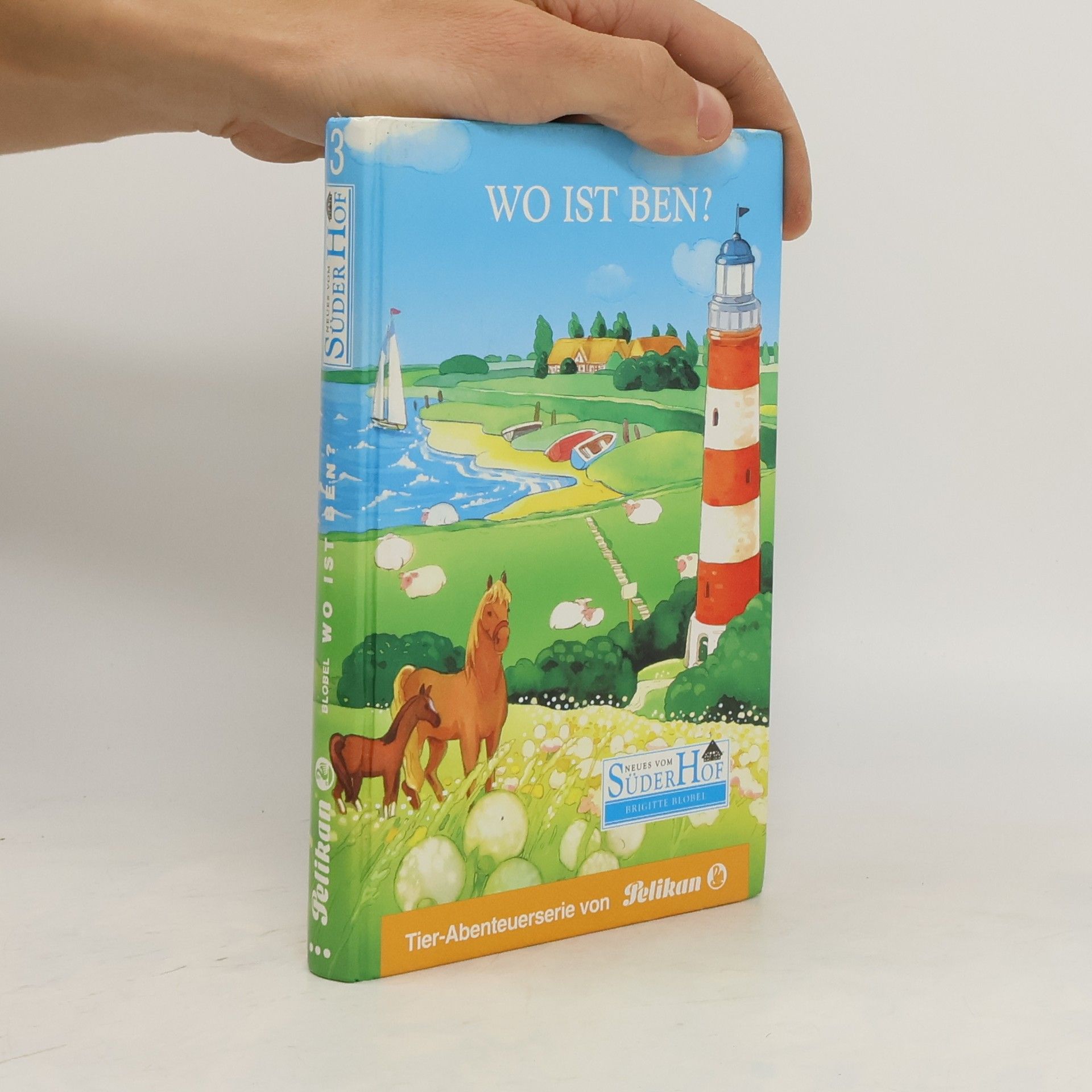 kolektiv Neues vom Süderhof - Wo ist Ben?