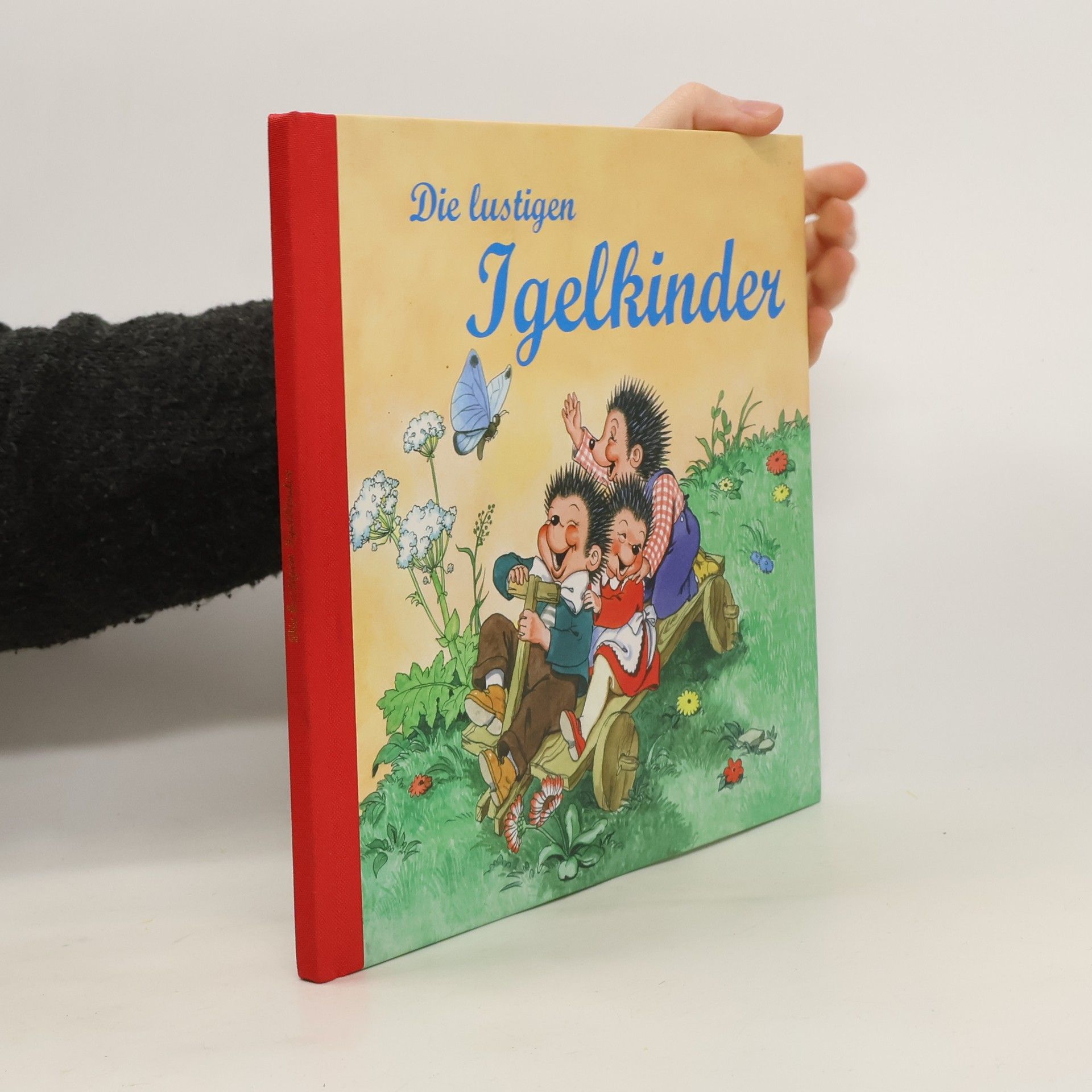 Autorenkollektiv Die lustigen Igelkinder