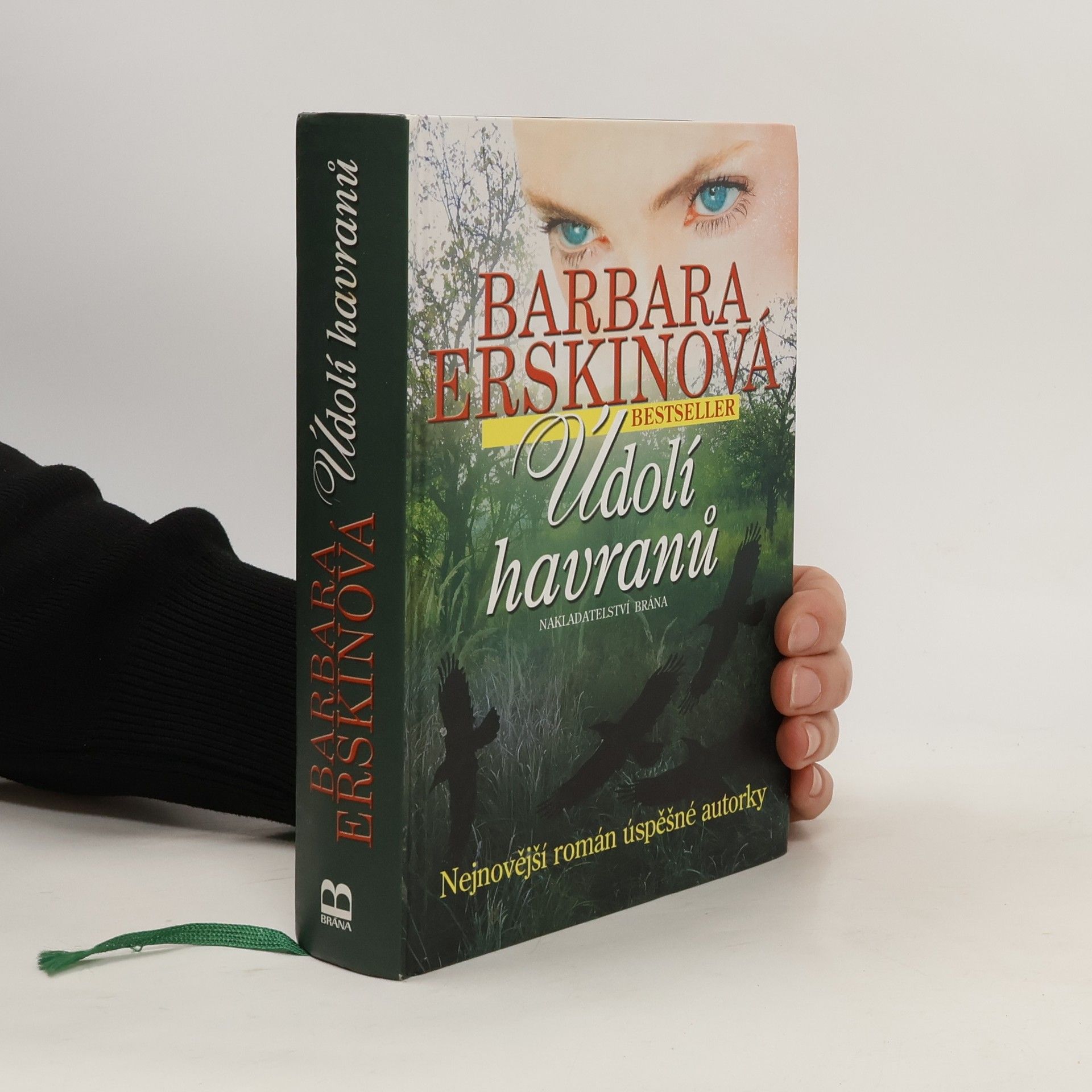 Barbara Erskine Údolí havranů