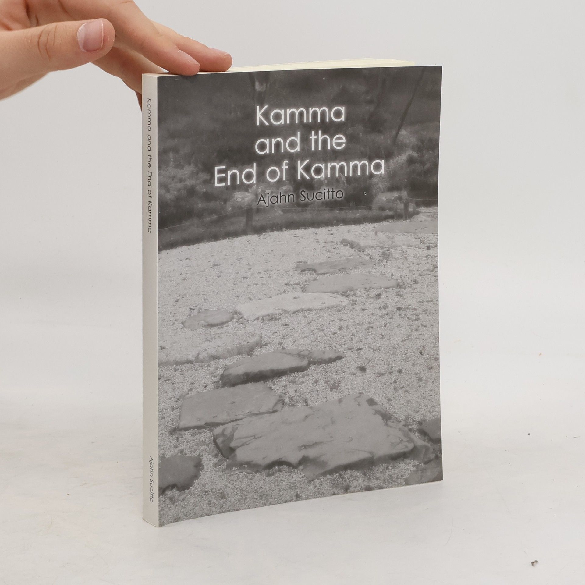 Ajahn Sucitto Kamma and the End of Kamma