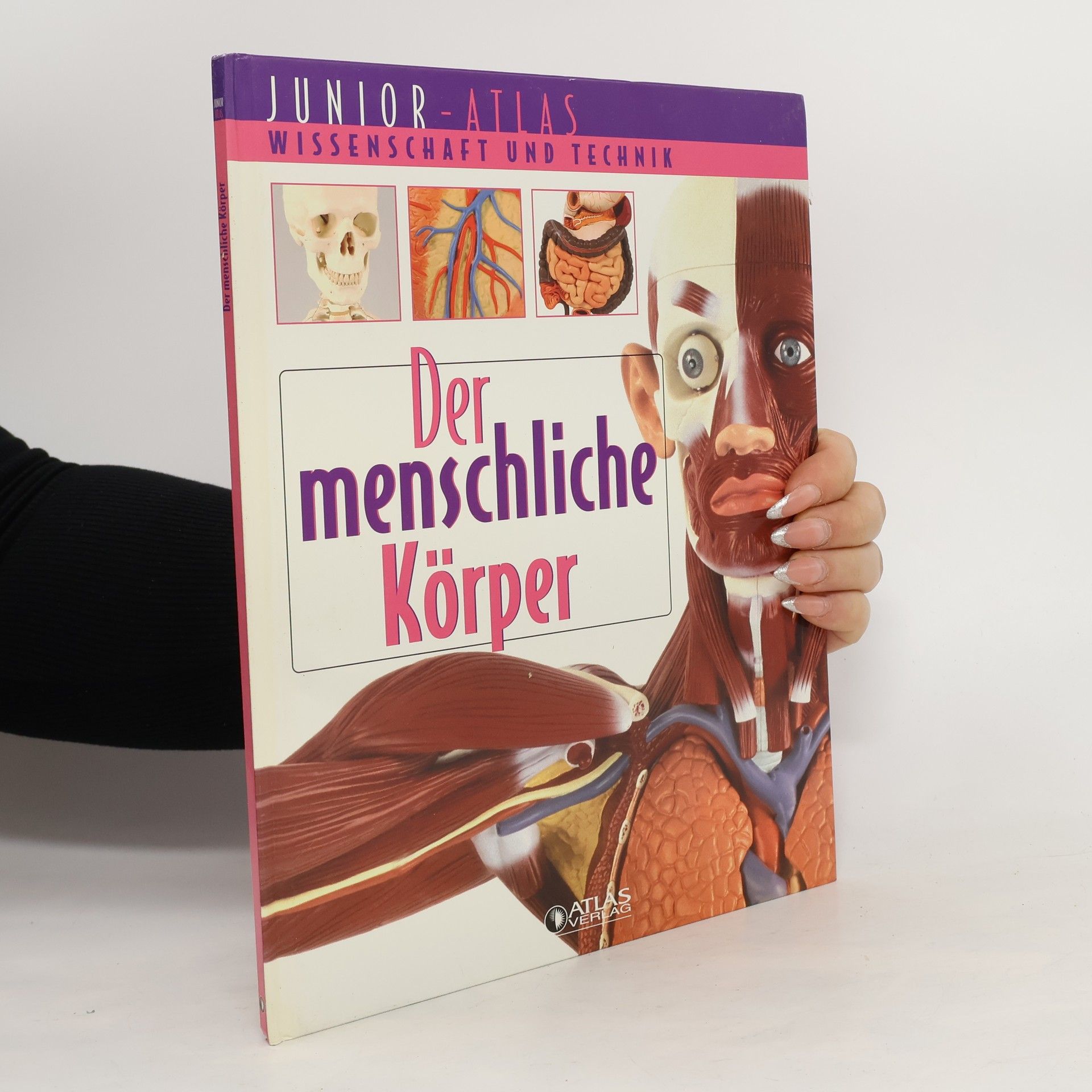 Autorenkollektiv Der menschliche Körper