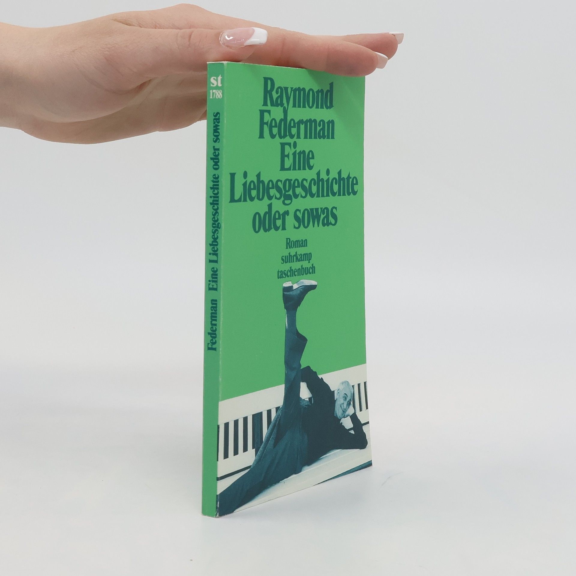 Raymond Federman Eine Liebesgeschichte oder sowas. Roman