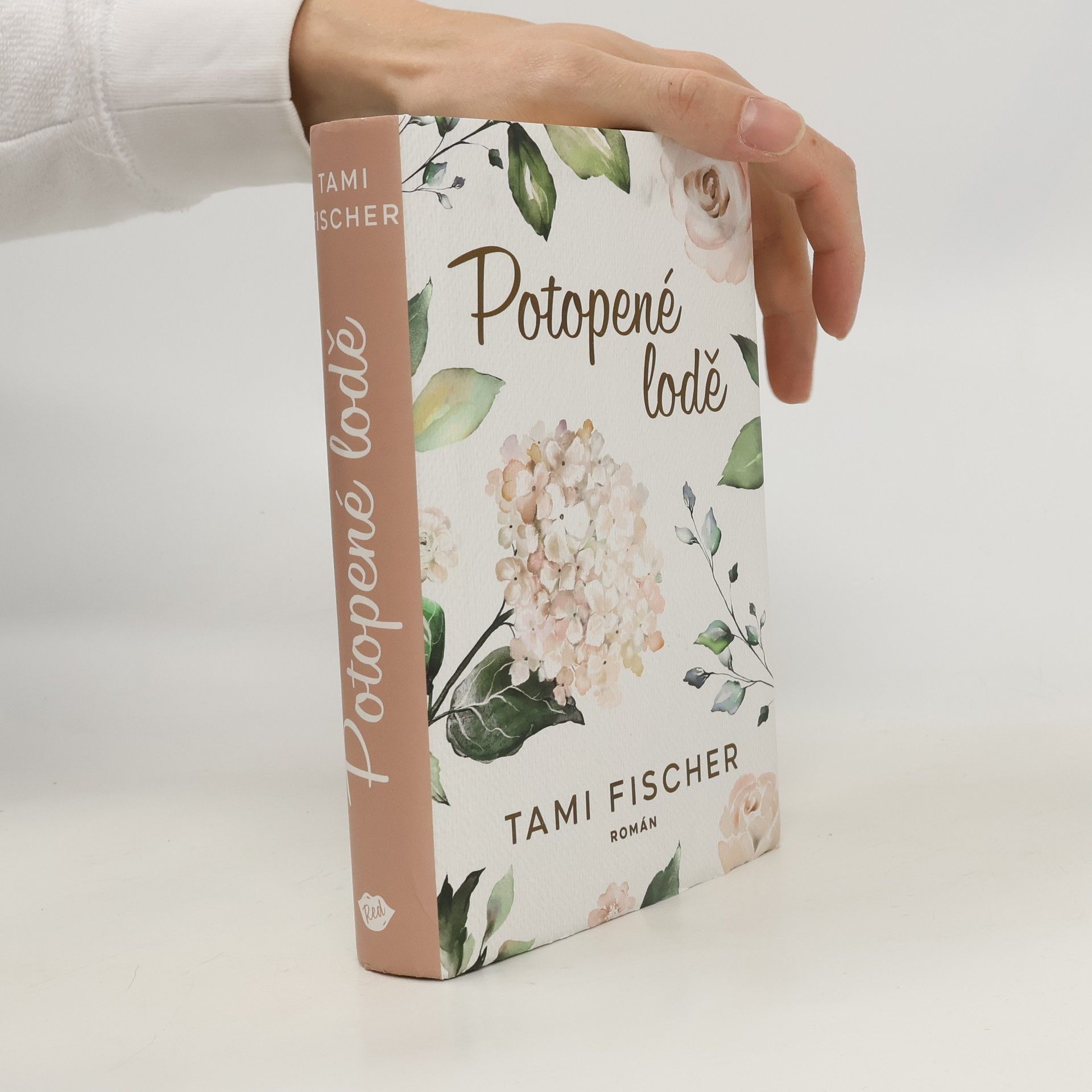 Tami Fischer Potopené lodě