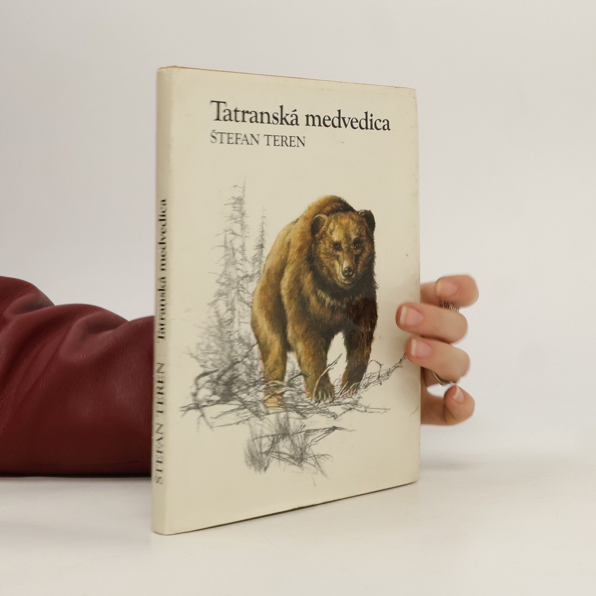 Štefan Teren Tatranská medvedica