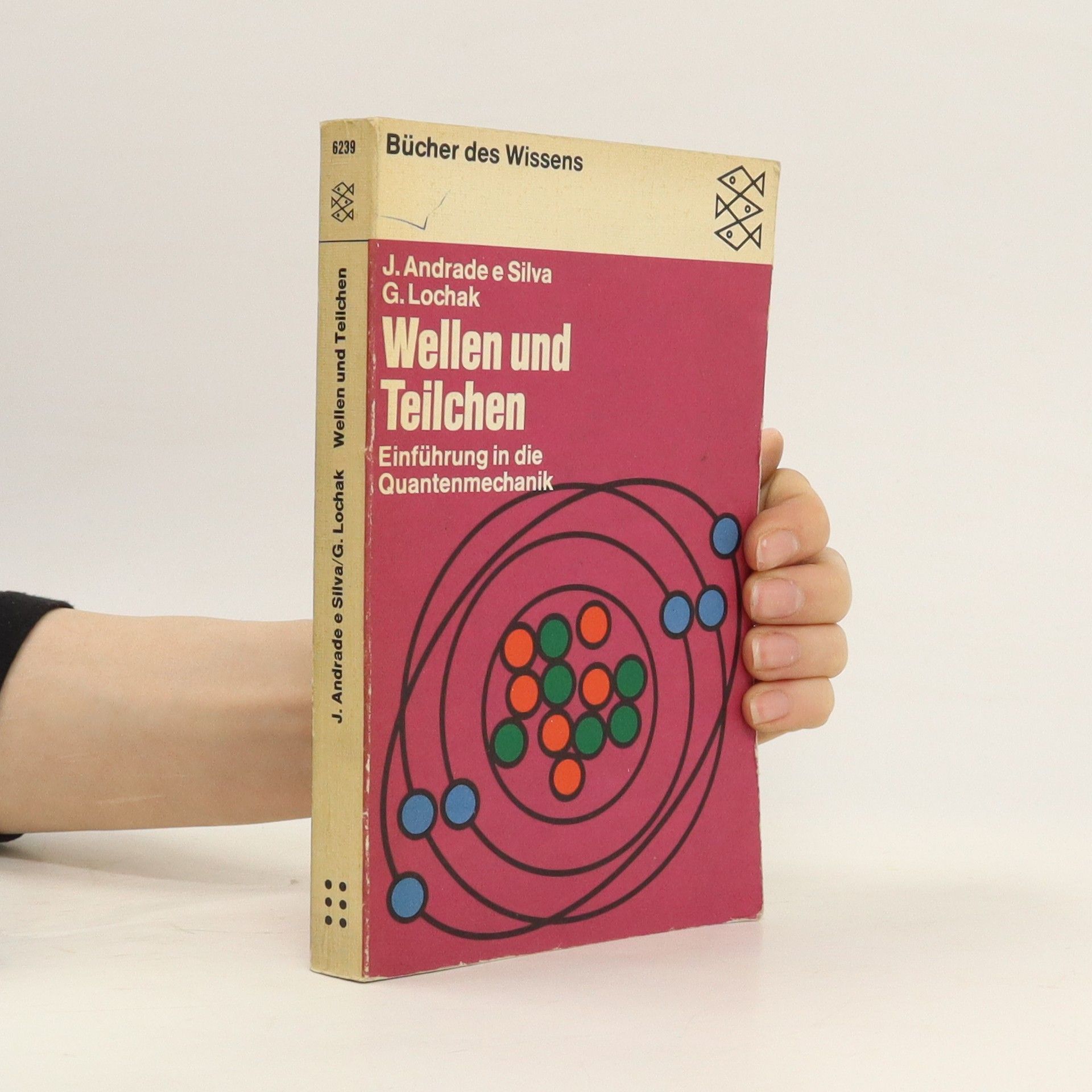 João Andrade e Silva Wellen und Teilchen