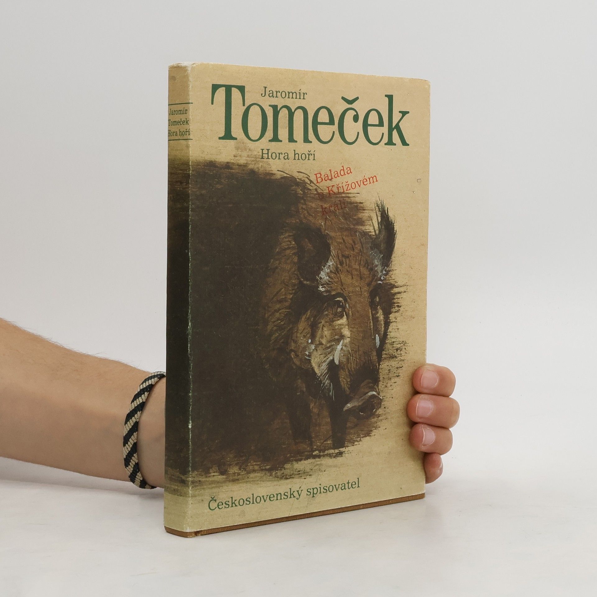 Hora hoří. Balada o Křížovém králi