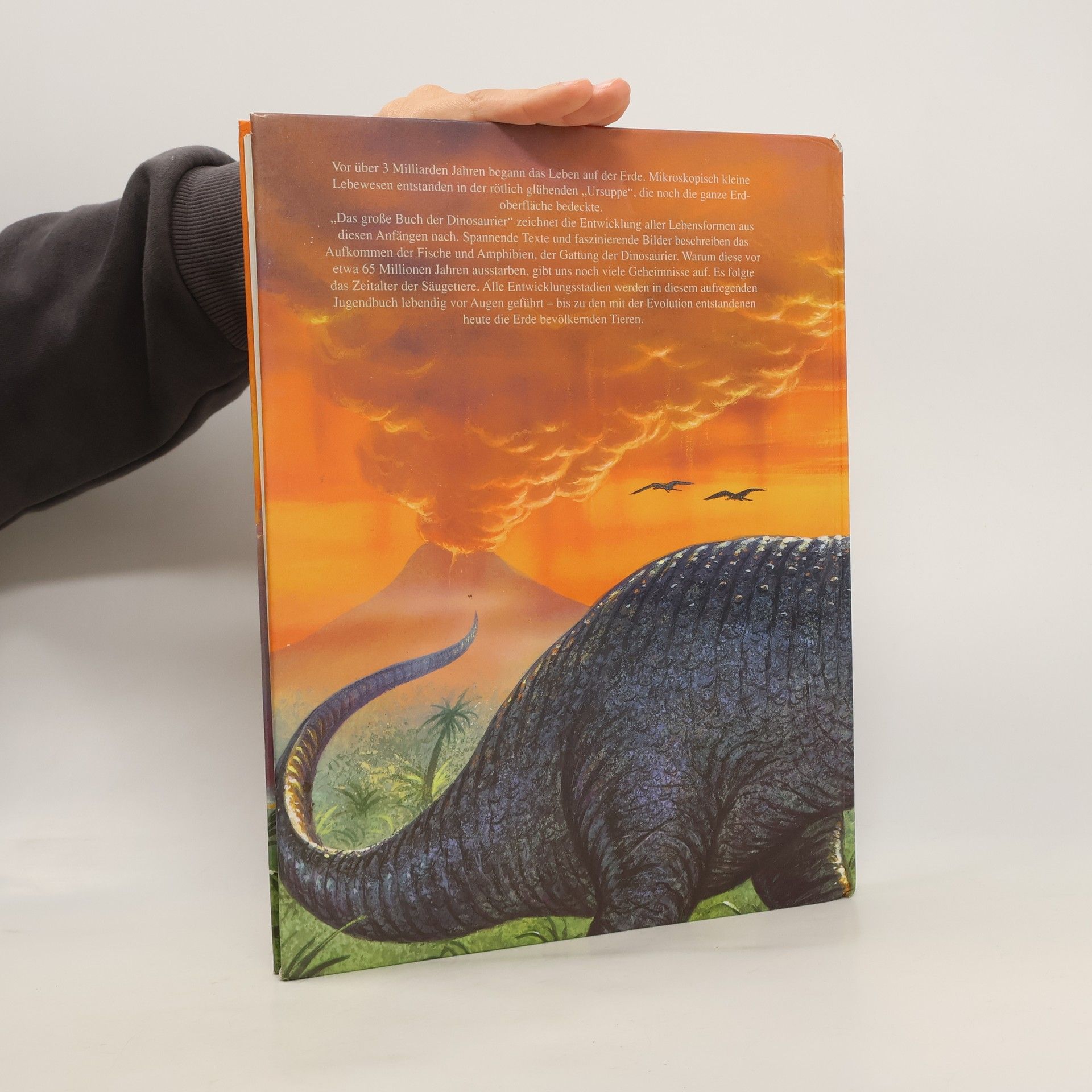 Autorenkollektiv Die Welt der Dinosaurier