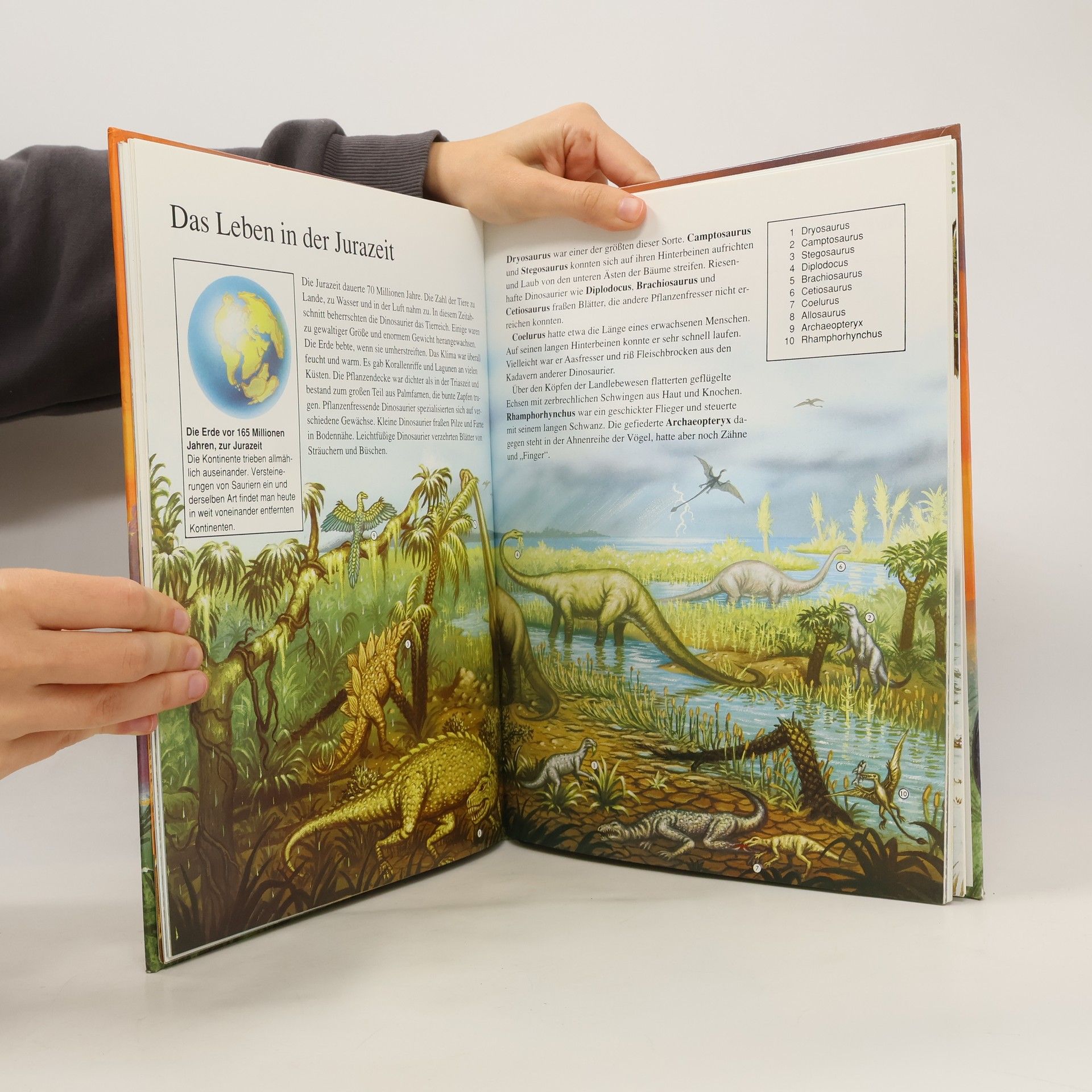 Autorenkollektiv Die Welt der Dinosaurier