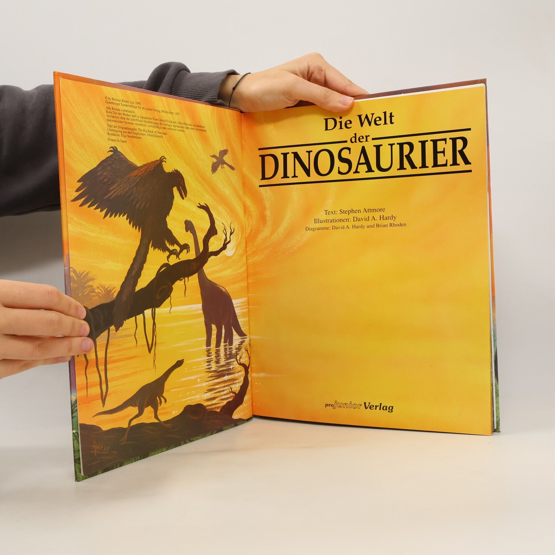 Autorenkollektiv Die Welt der Dinosaurier