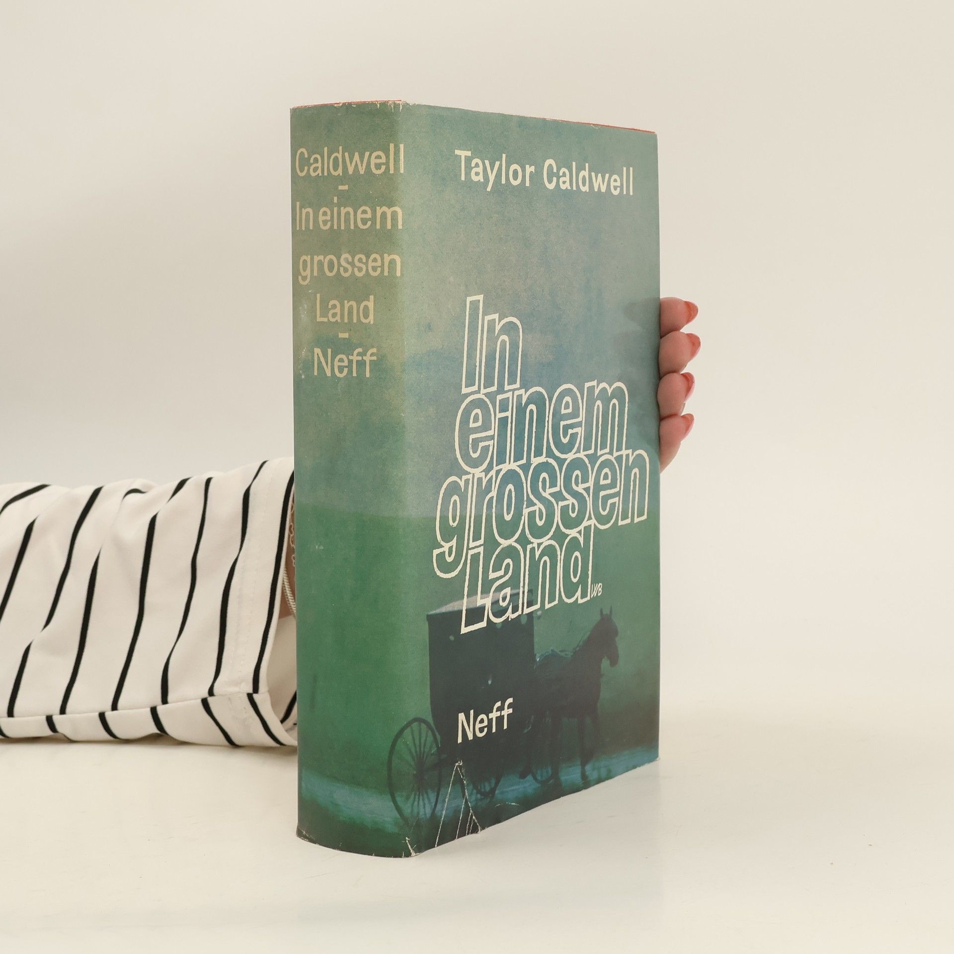 Taylor Caldwell In einem grossen Land