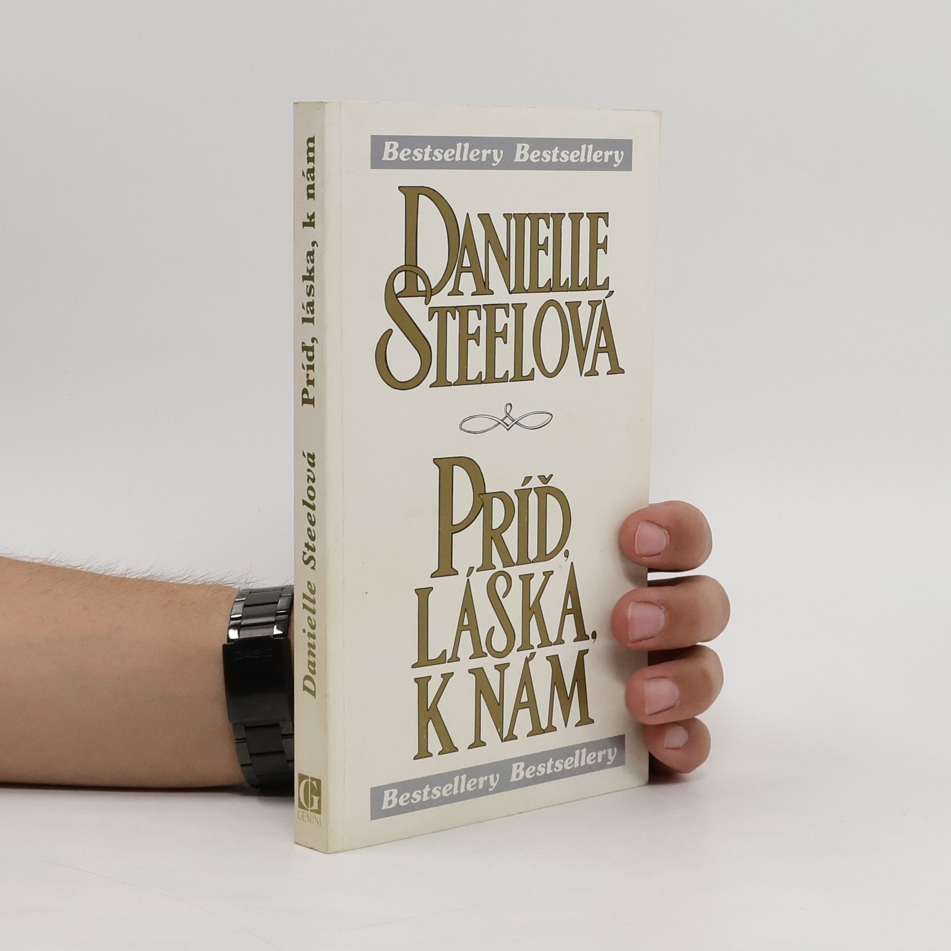 Danielle Steelová Príď láska k nám