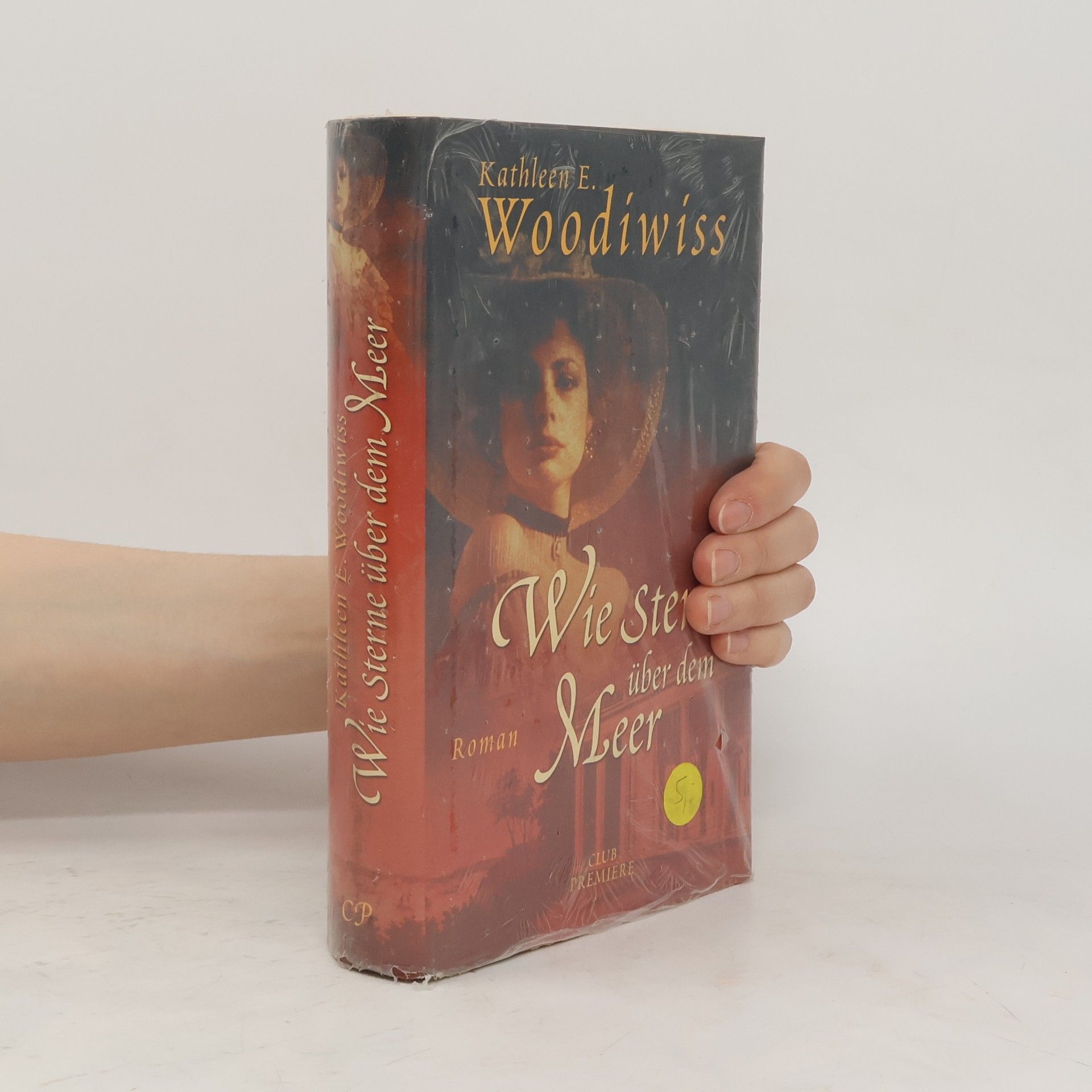 Kathleen E. Woodiwiss Wie sterne über dem Meer