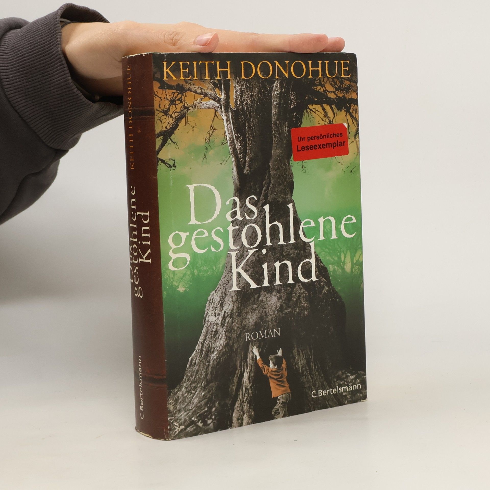 Keith Donohue Das gestohlene Kind