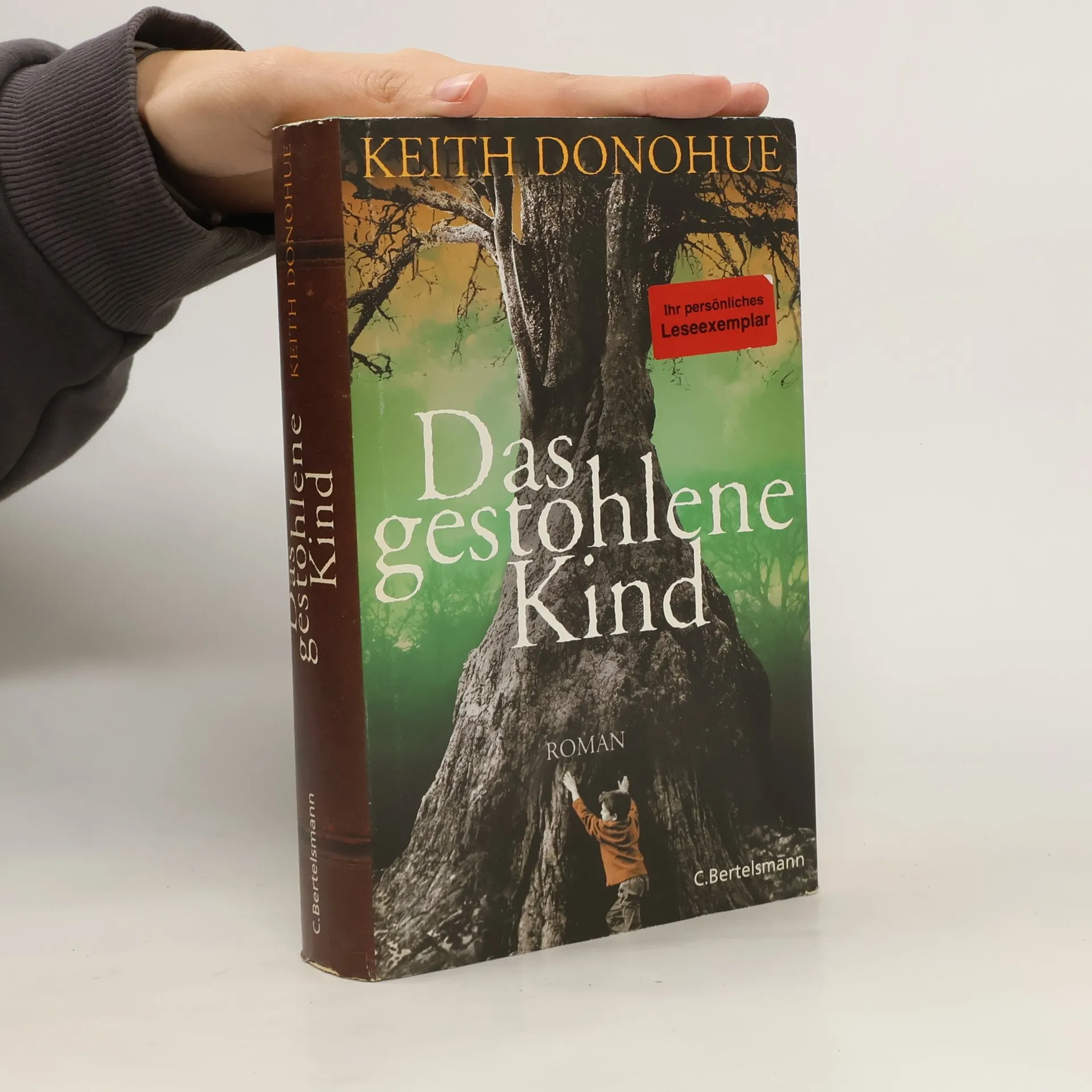 Das gestohlene Kind | Buch | Keith Donohue