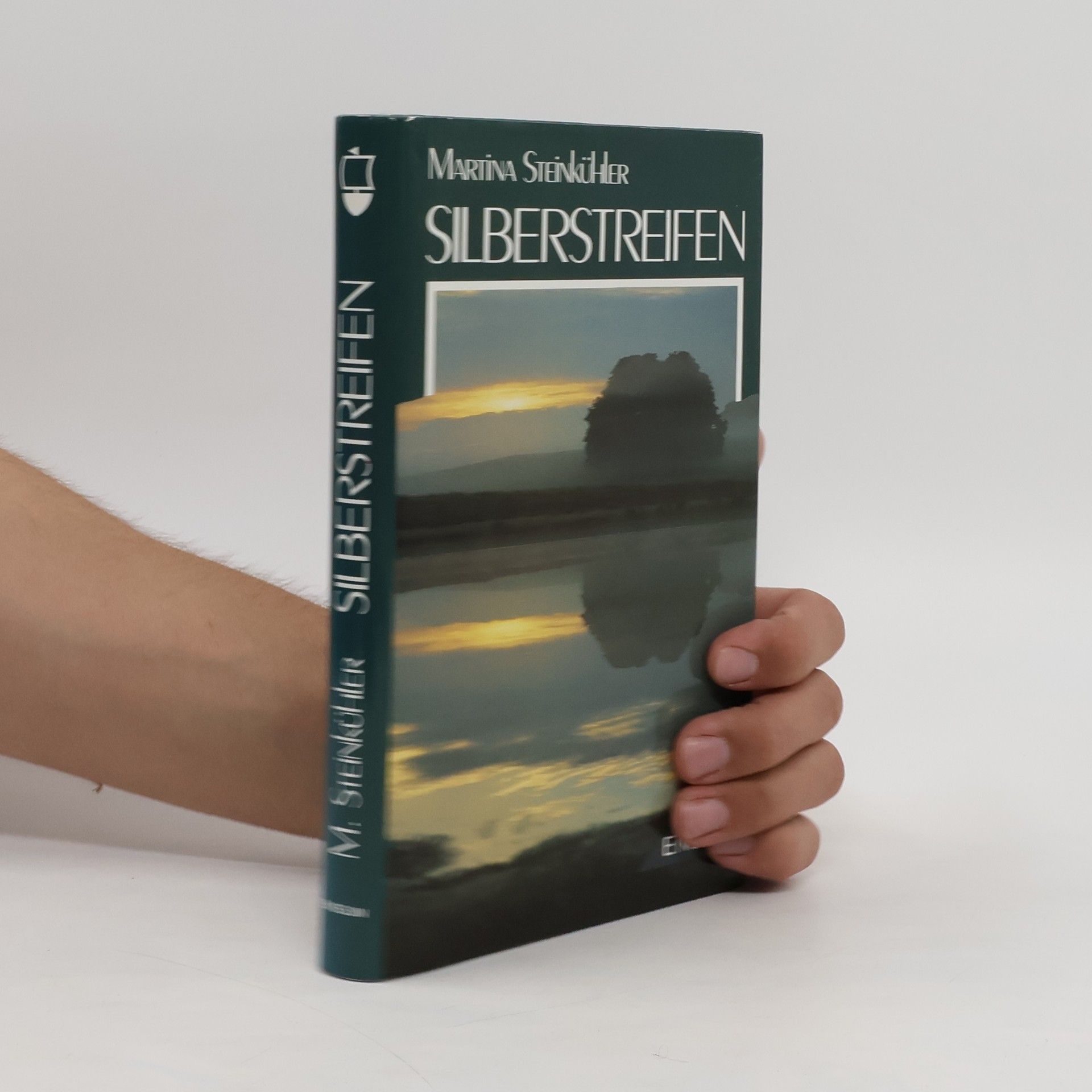 Martina Steinkühler Silberstreifen