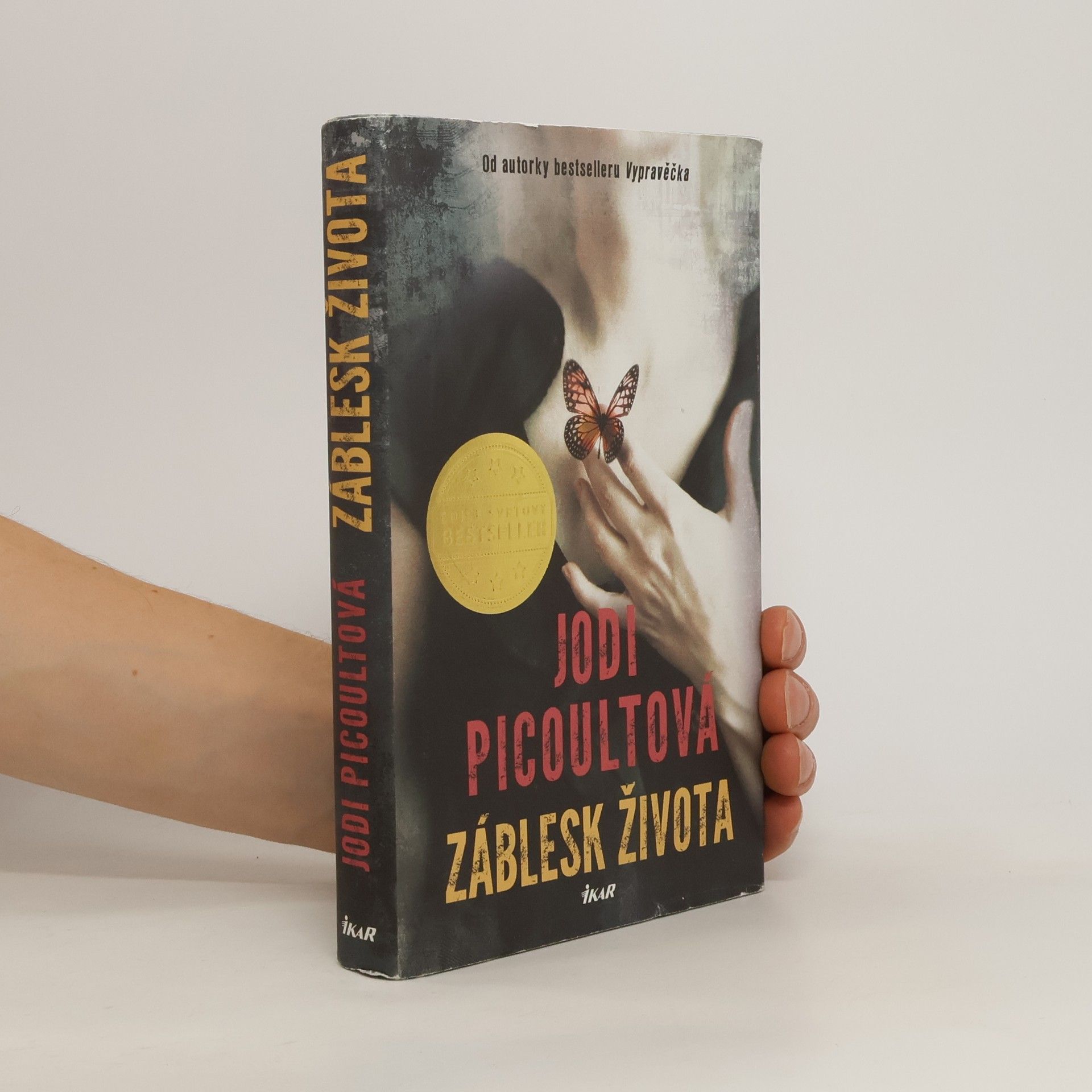 Jodi Picoult Záblesk života