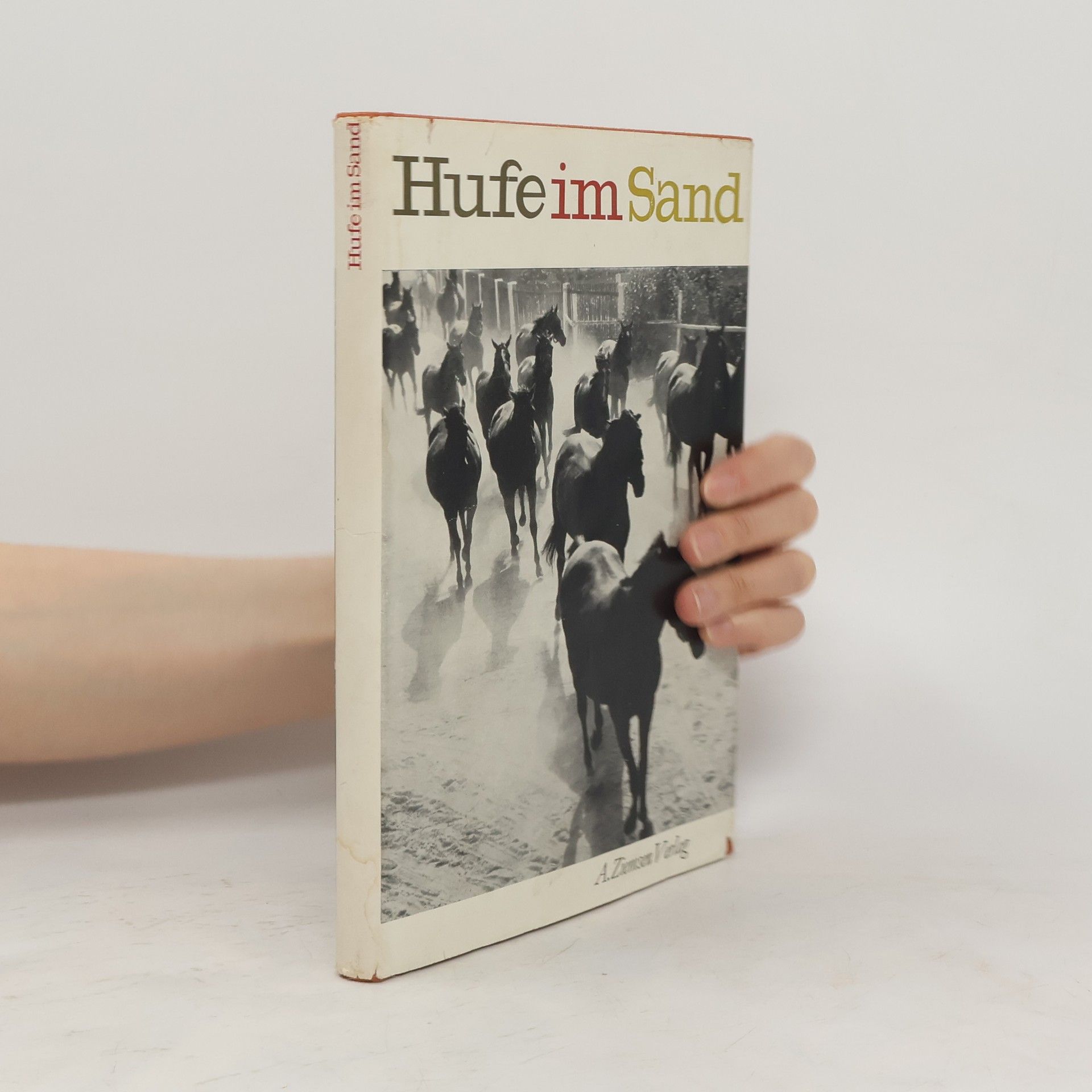 Collectif d'auteurs Hufe im Sand