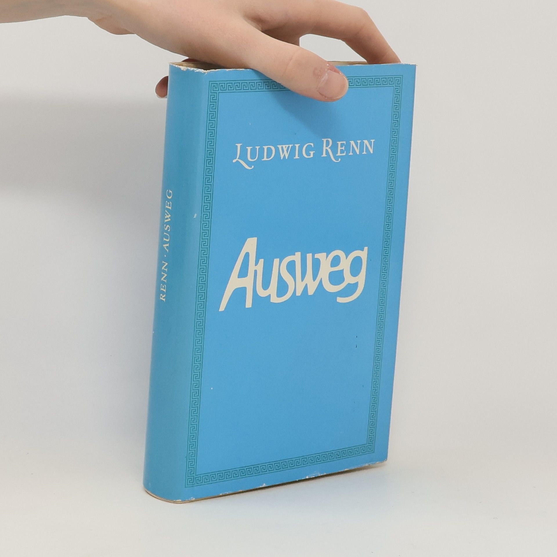 Ludwig Renn Ausweg