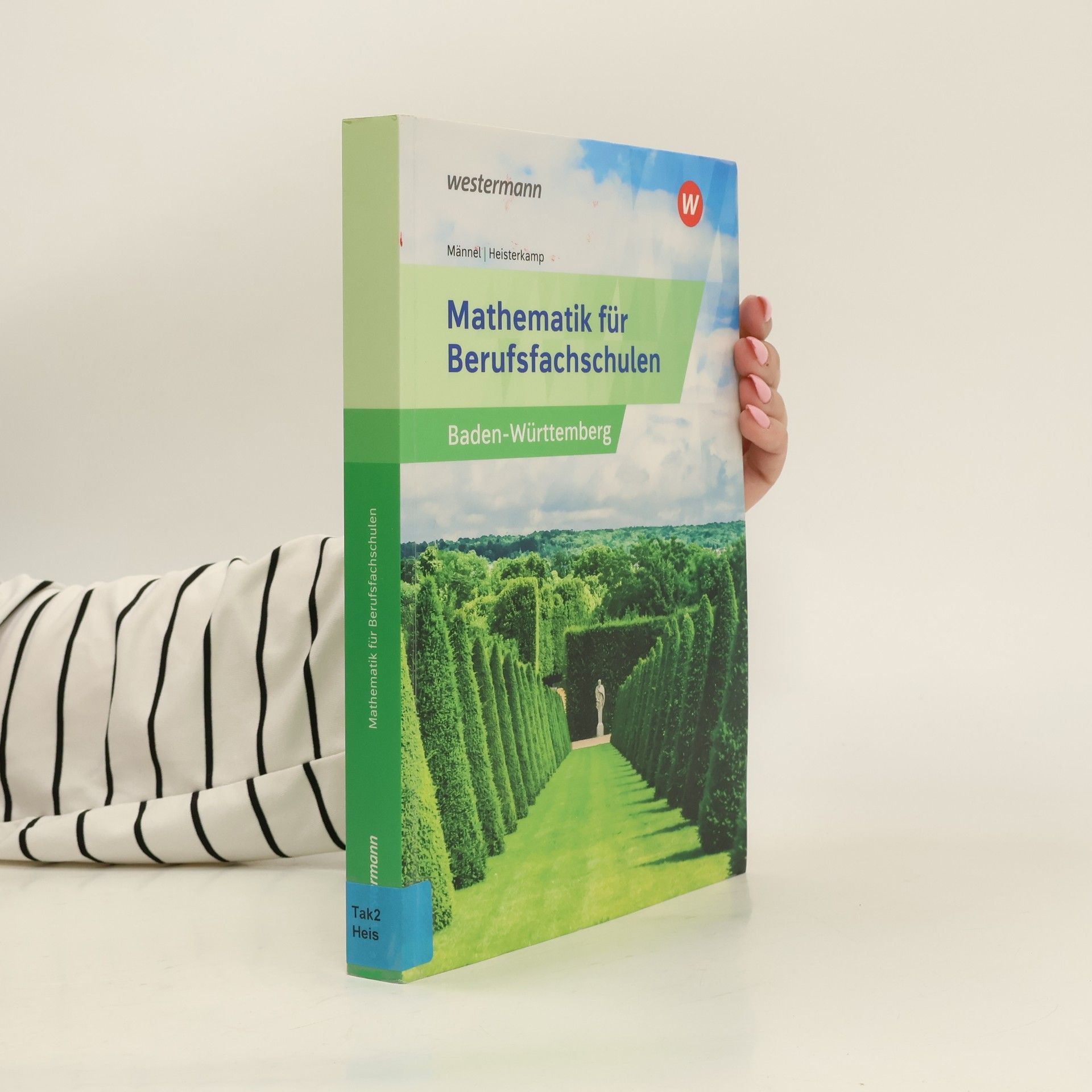 Markus Heisterkamp Mathematik für Berufsfachschulen. Schülerband. Algebra und Geometrie