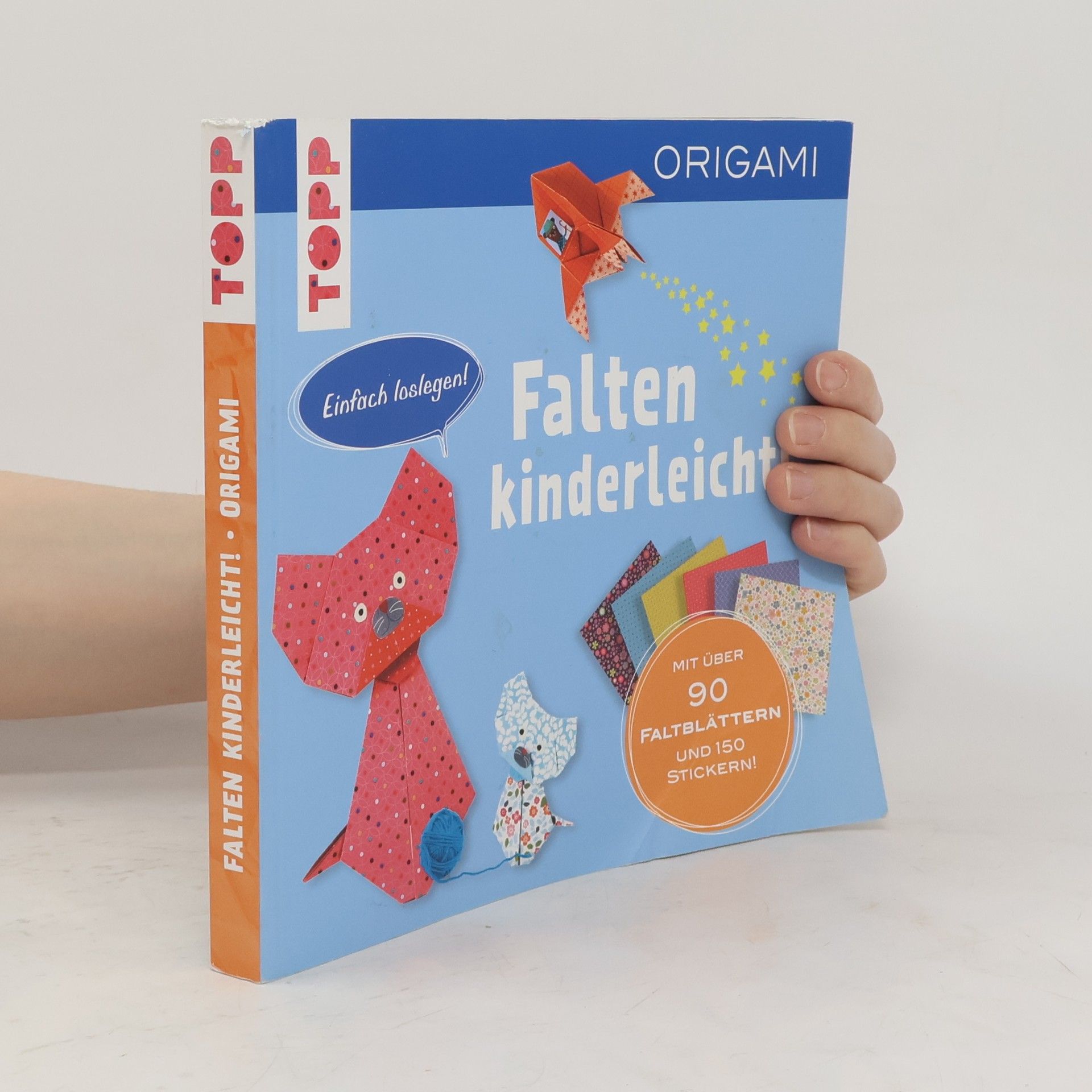 Didier Boursin Falten kinderleicht!