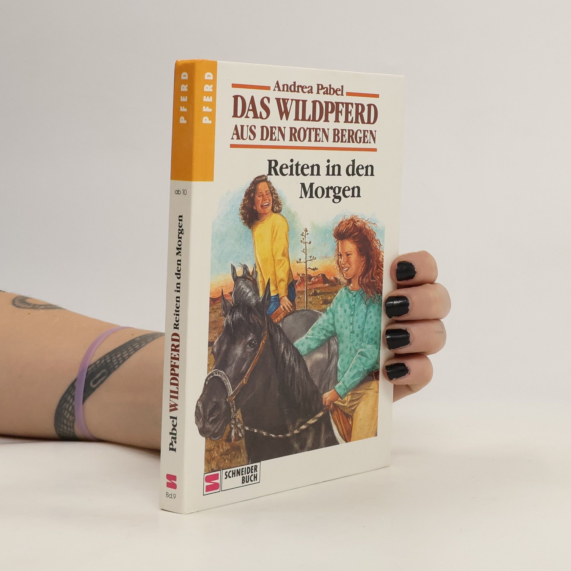 Andrea Pabel Das Wildpferd aus den roten Bergen: Reiten in den Morgen