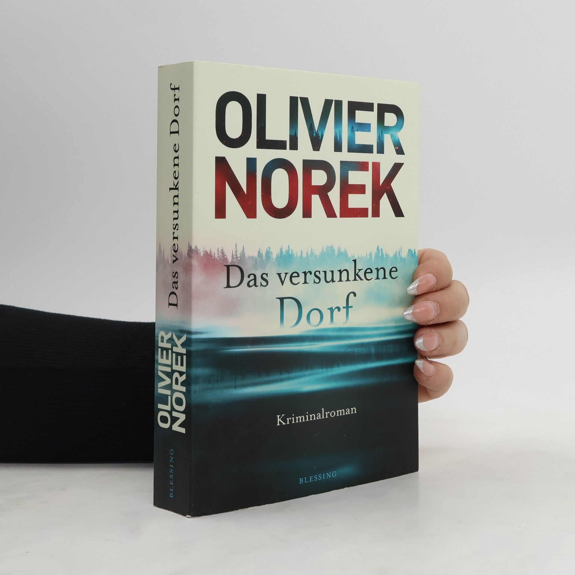 Olivier Norek Das versunkene Dorf