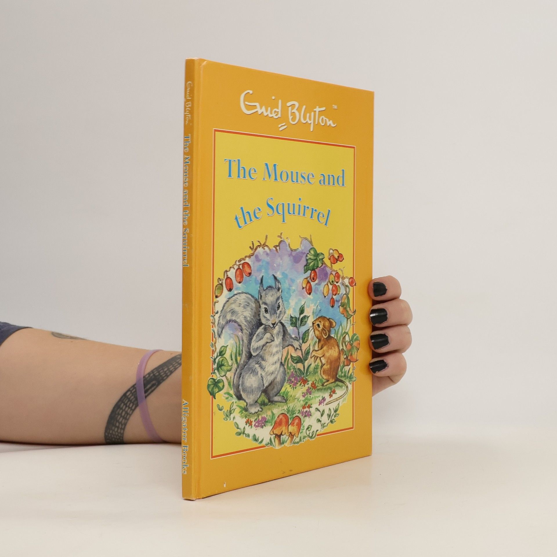 Enid Blyton The Newspaper Dog