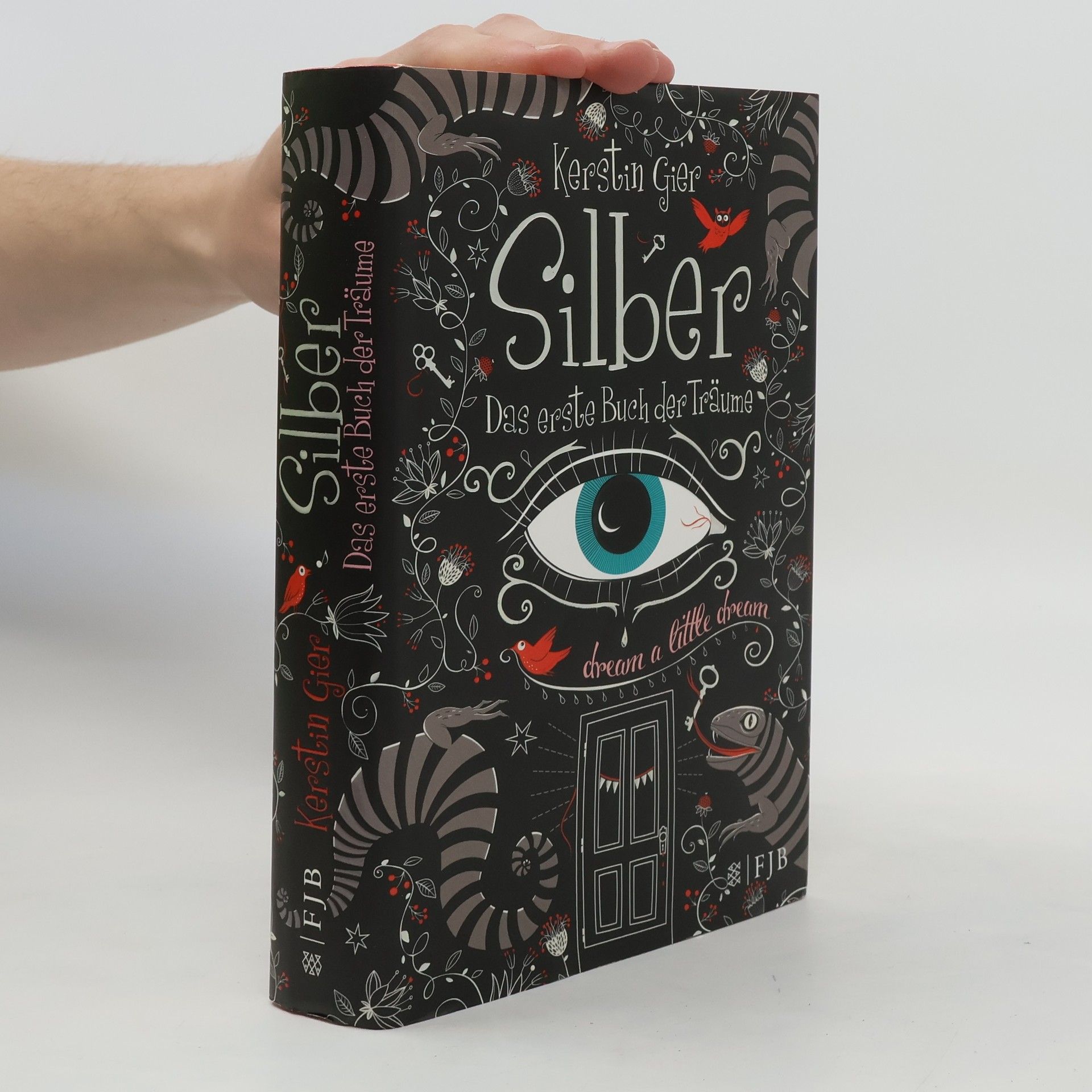 Kerstin Gier Silber Das erste Buch der Traume