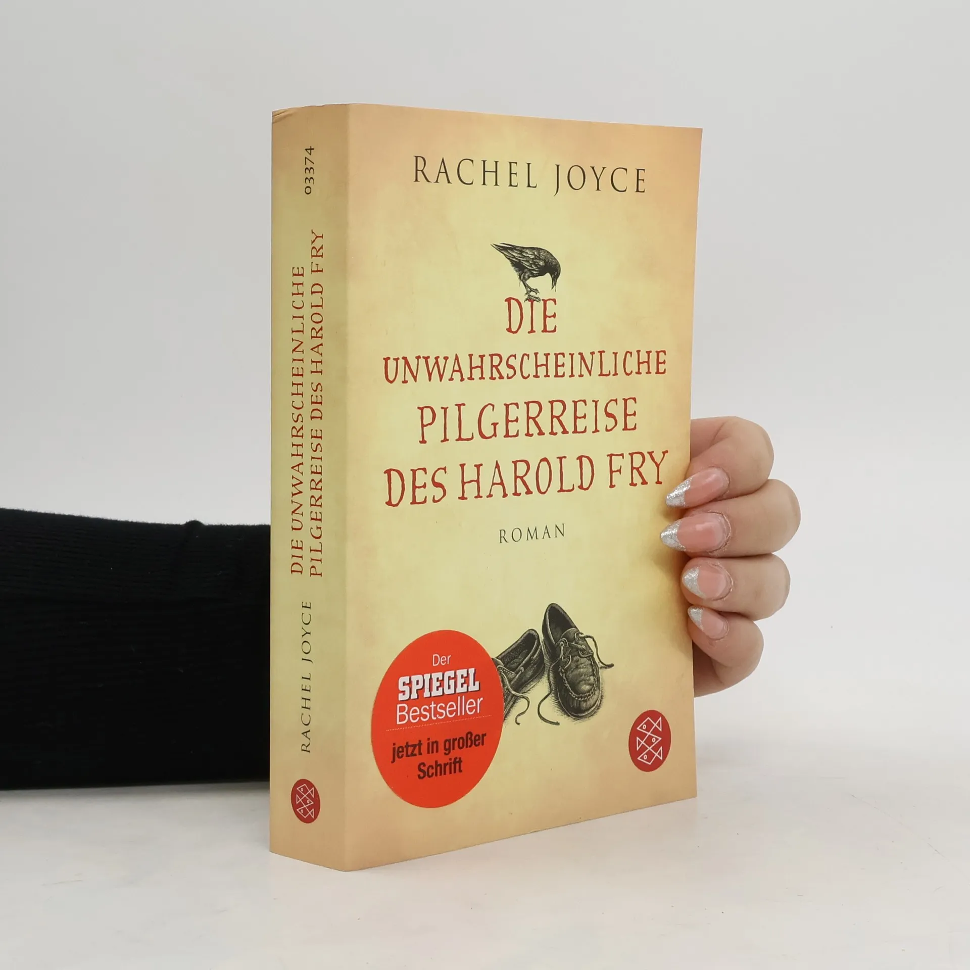 Die unwahrscheinliche Pilgerreise des Harold Fry | Buch | Rachel Joyce