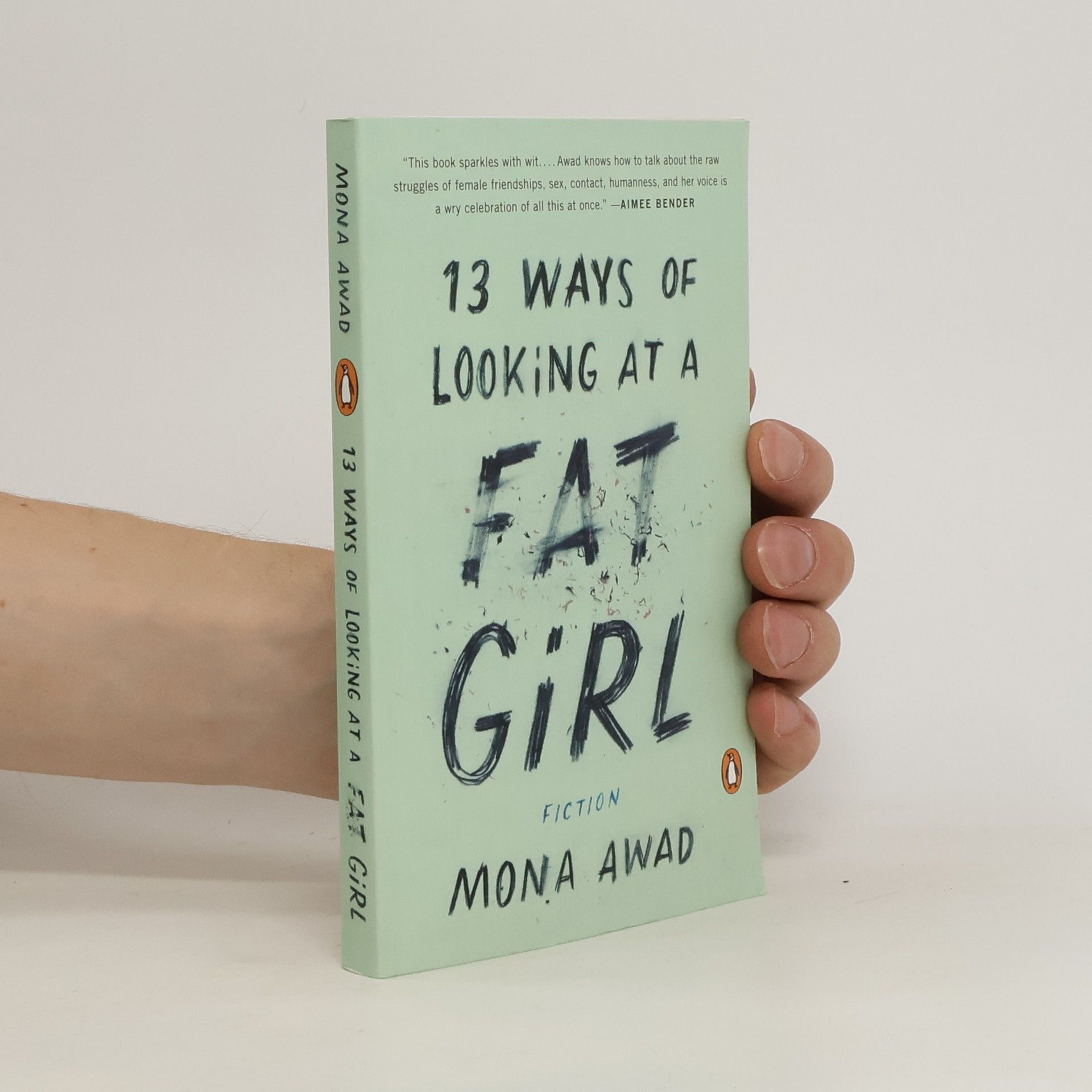 Mona Awad 13 ways of looking at a fat girl