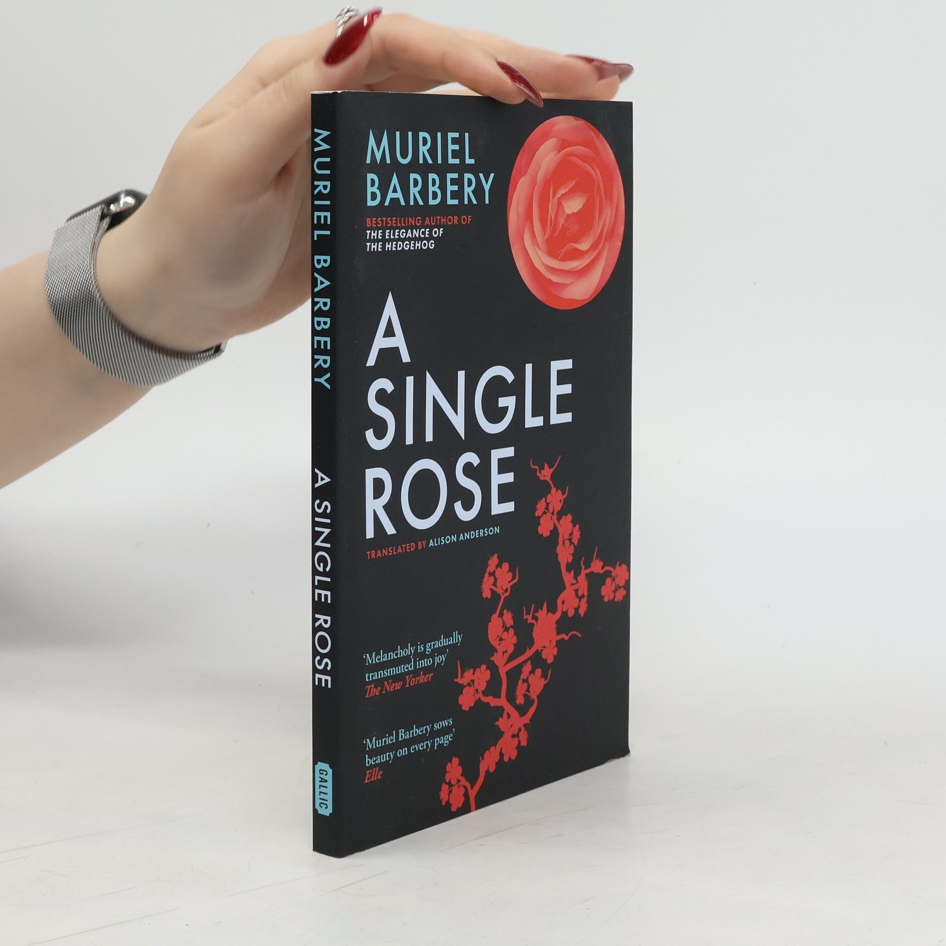 Muriel Barbery A Single Rose
