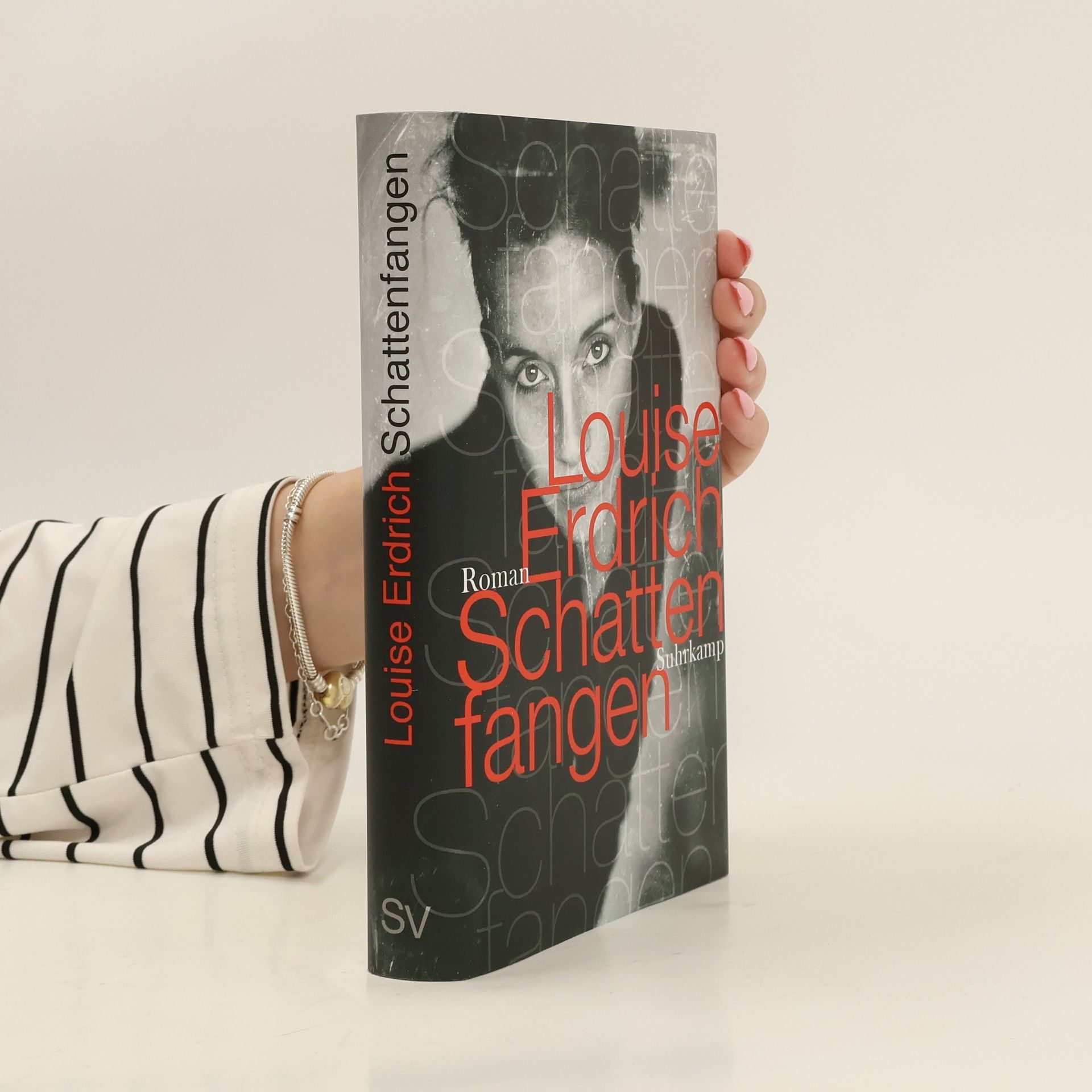 Louise Erdrich Schattenfangen