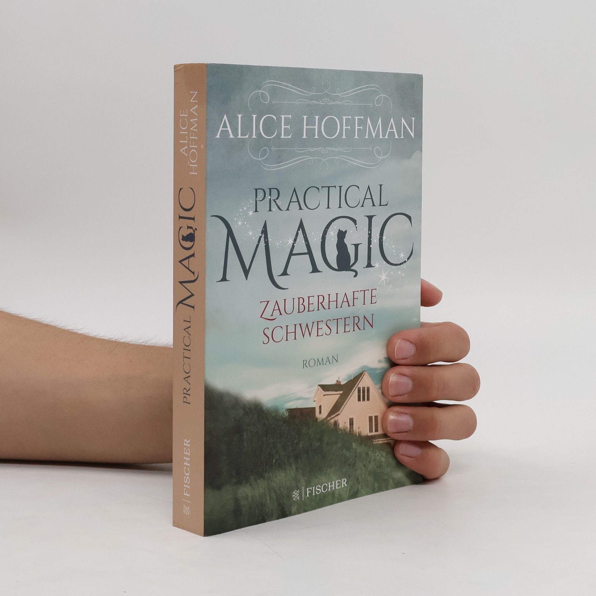 Alice Hoffman Practical Magic. Zauberhafte Schwestern