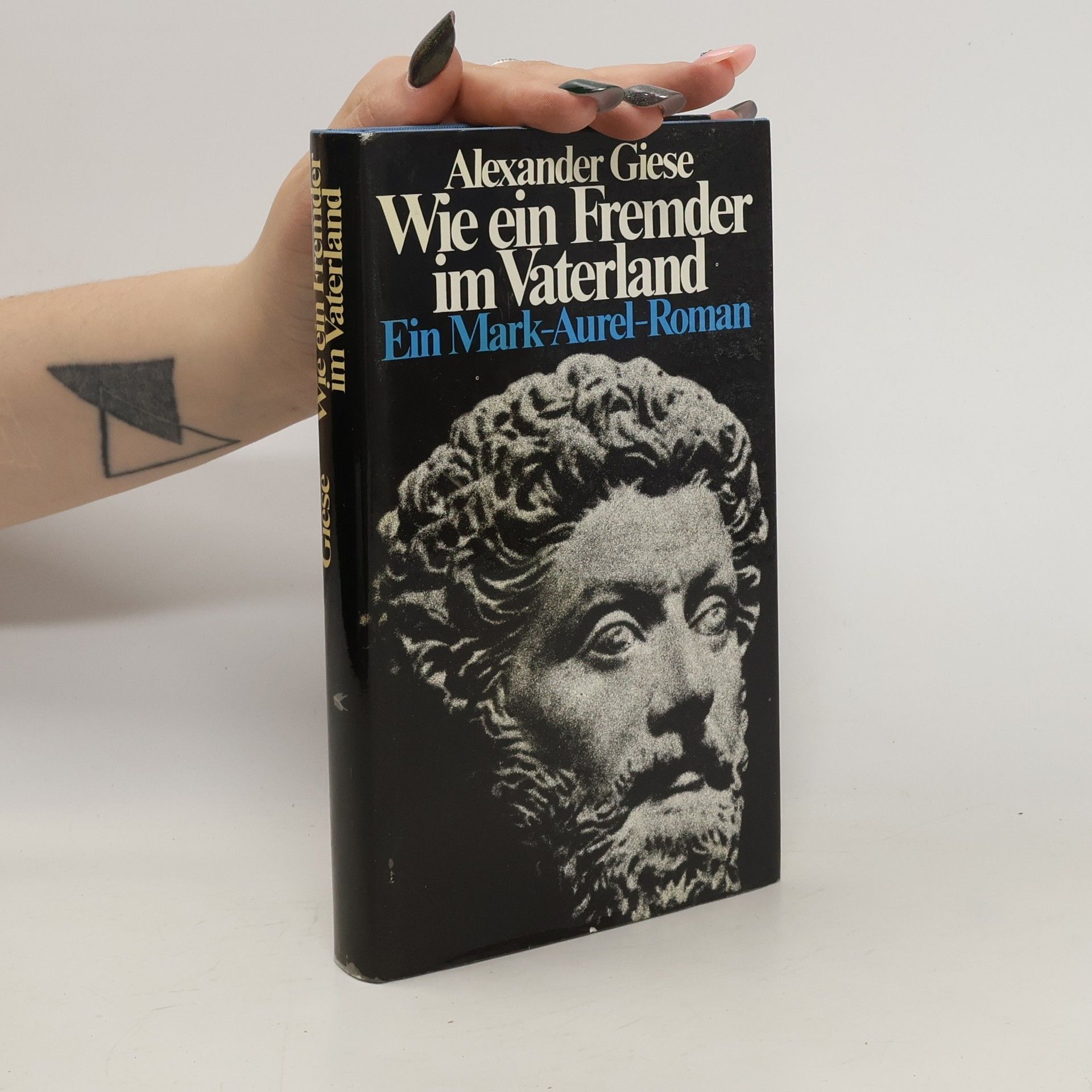 Alexander Giese Wie ein Fremder im Vaterland