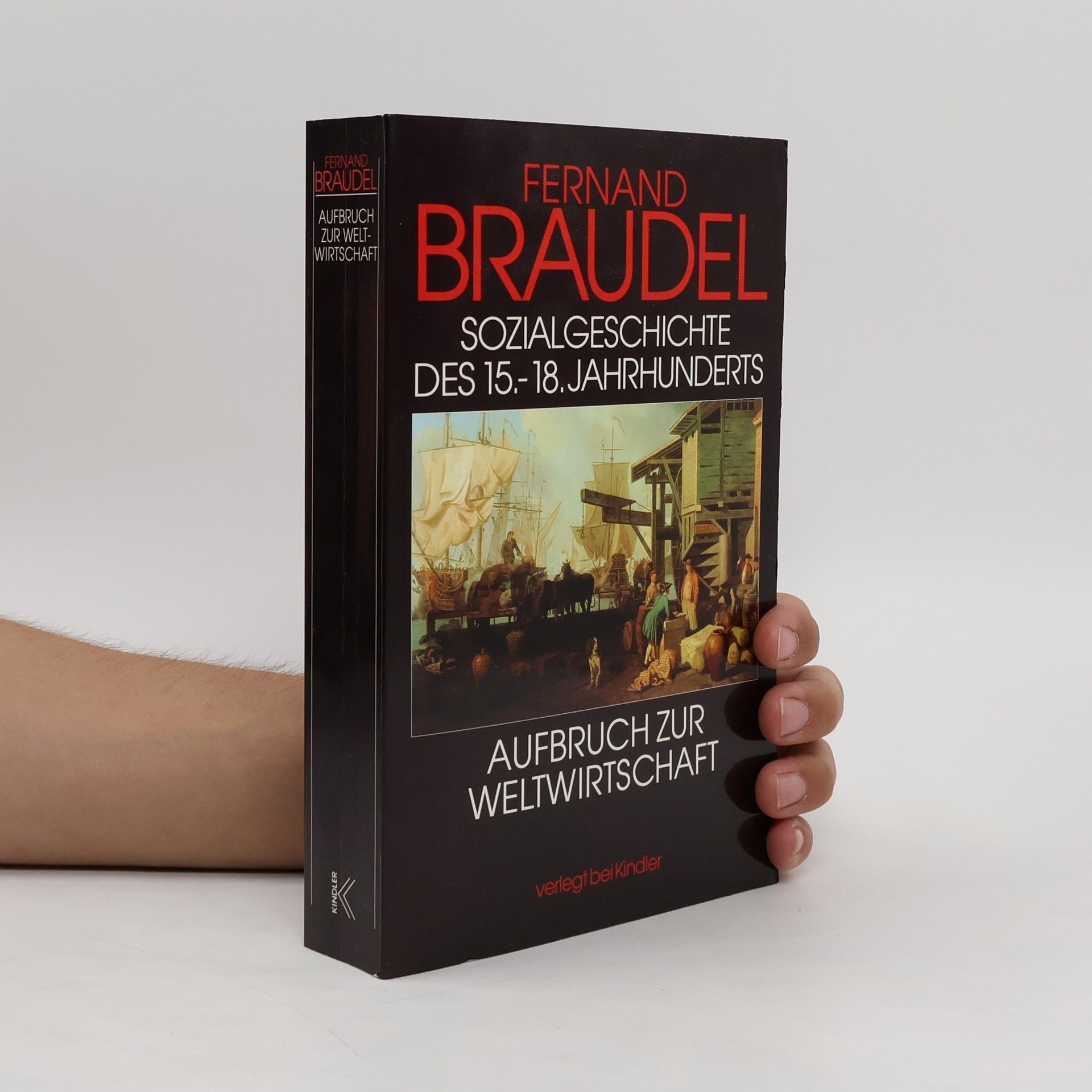 Fernard Braudel Sozialgeschichte des 15. - 18. Jahrhunderts. Aufbruch zur Weltwirtschaft