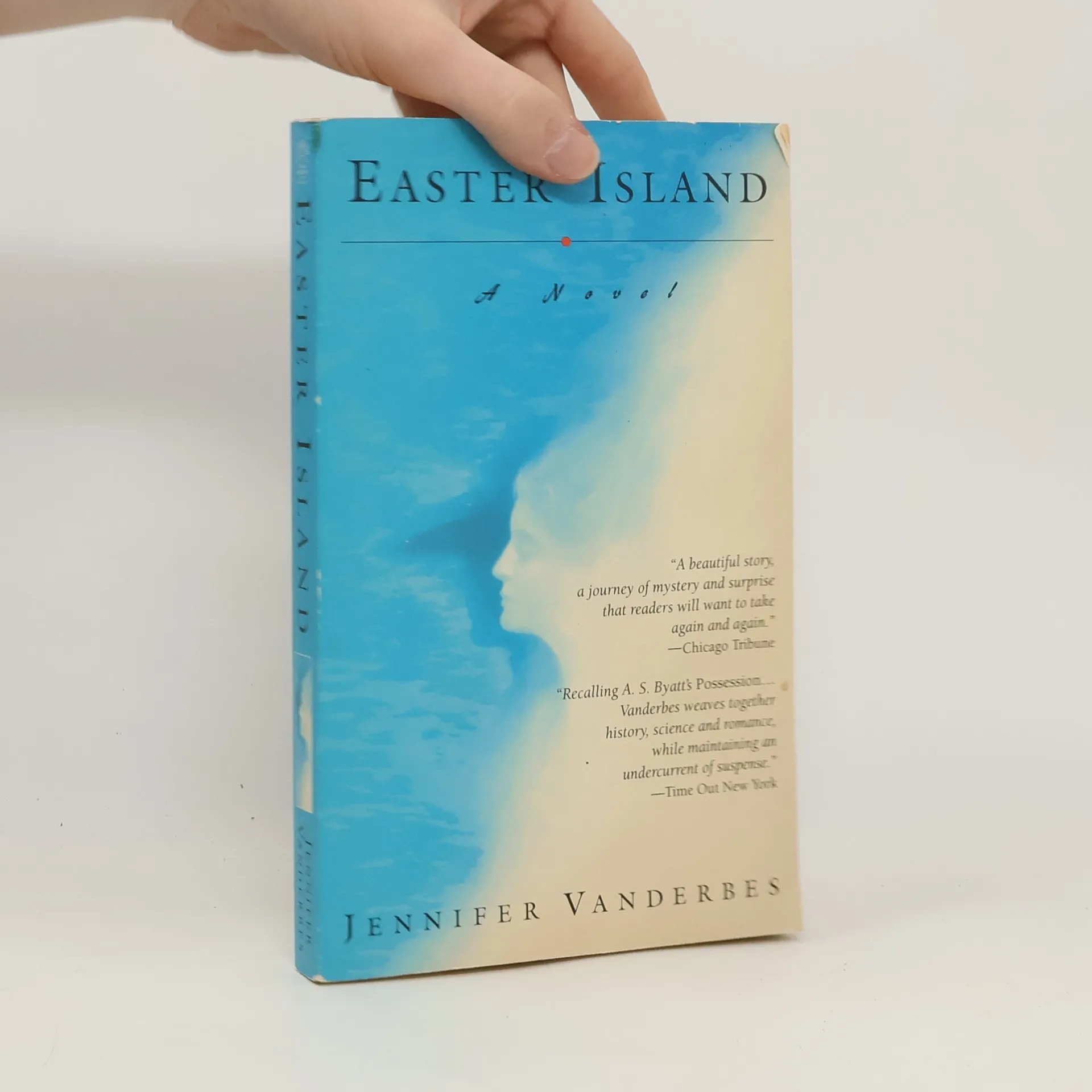 Easter Island | Book | Paperback | Jennifer Vanderbes | EN