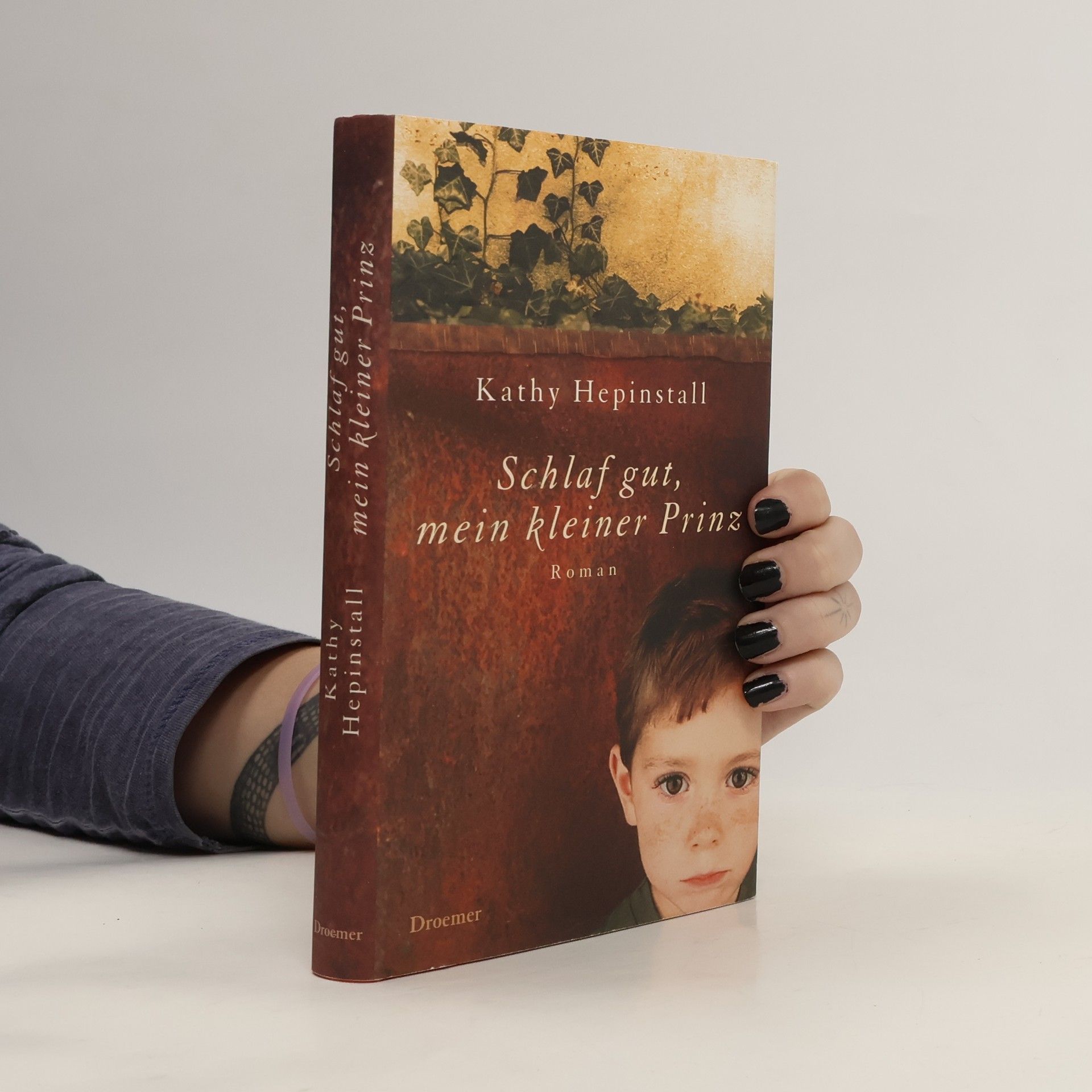 Kathy Hepinstall Schlaf gut, mein kleiner Prinz