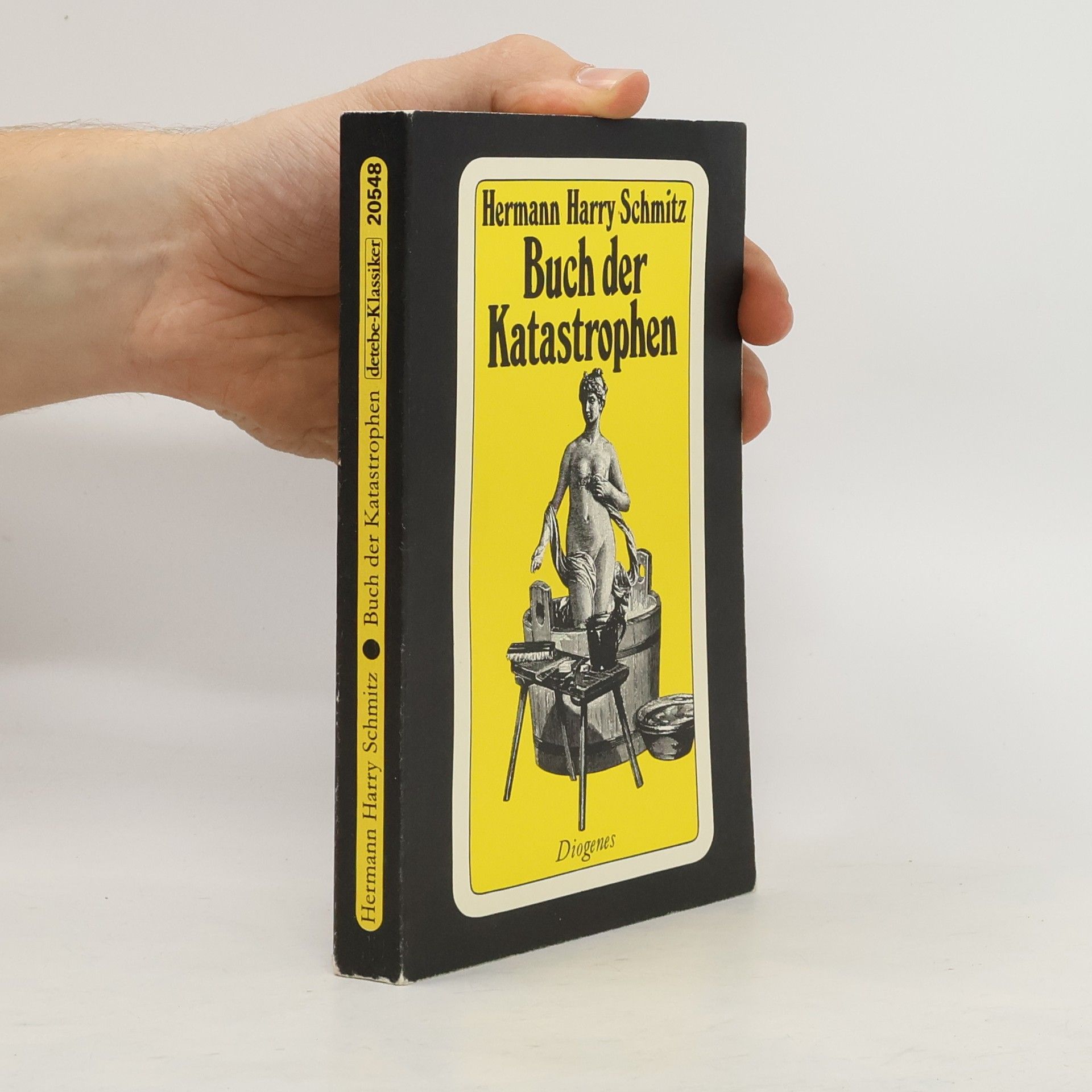 Hermann Harry Schmitz Buch der Katastrophen