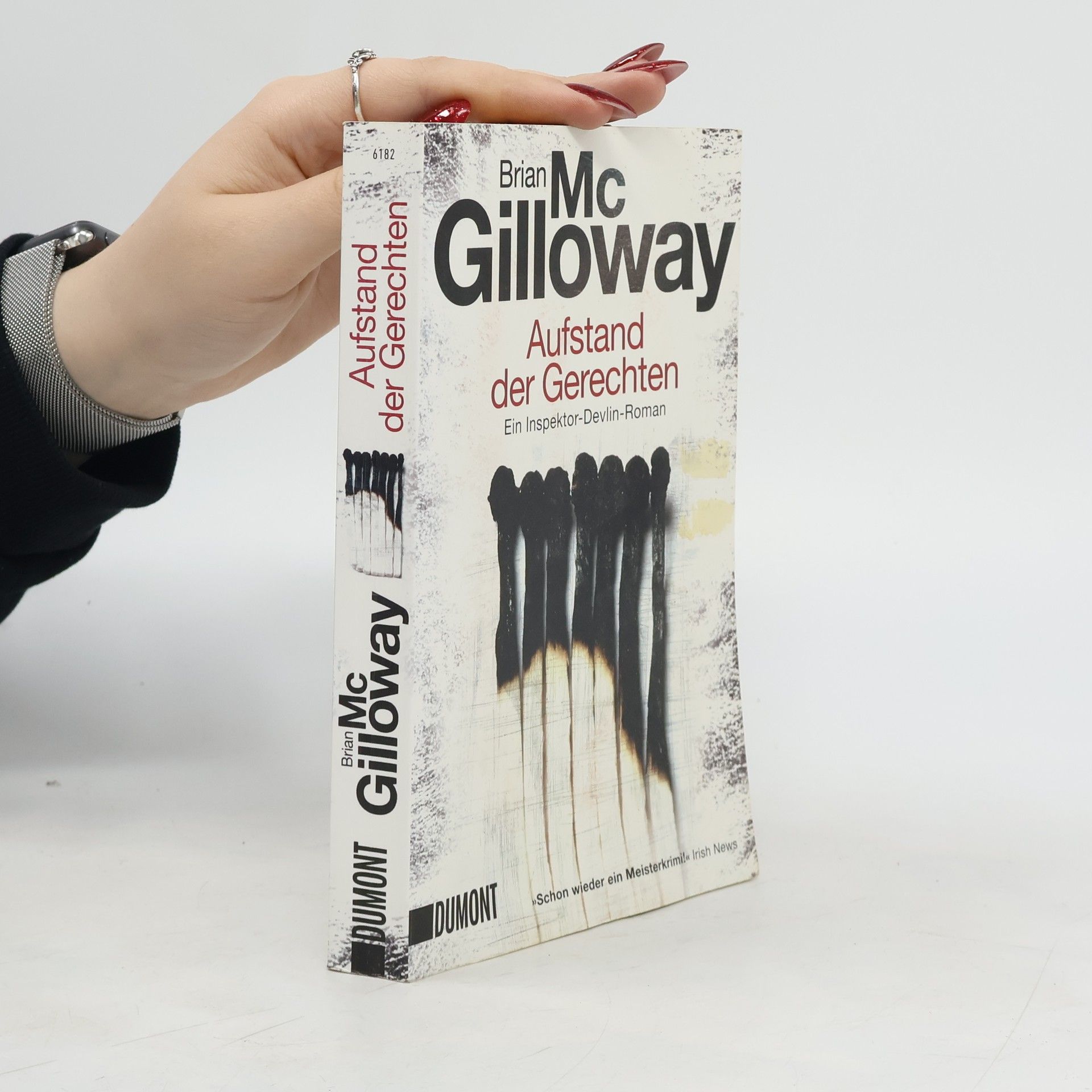Brian McGilloway Aufstand der Gerechten