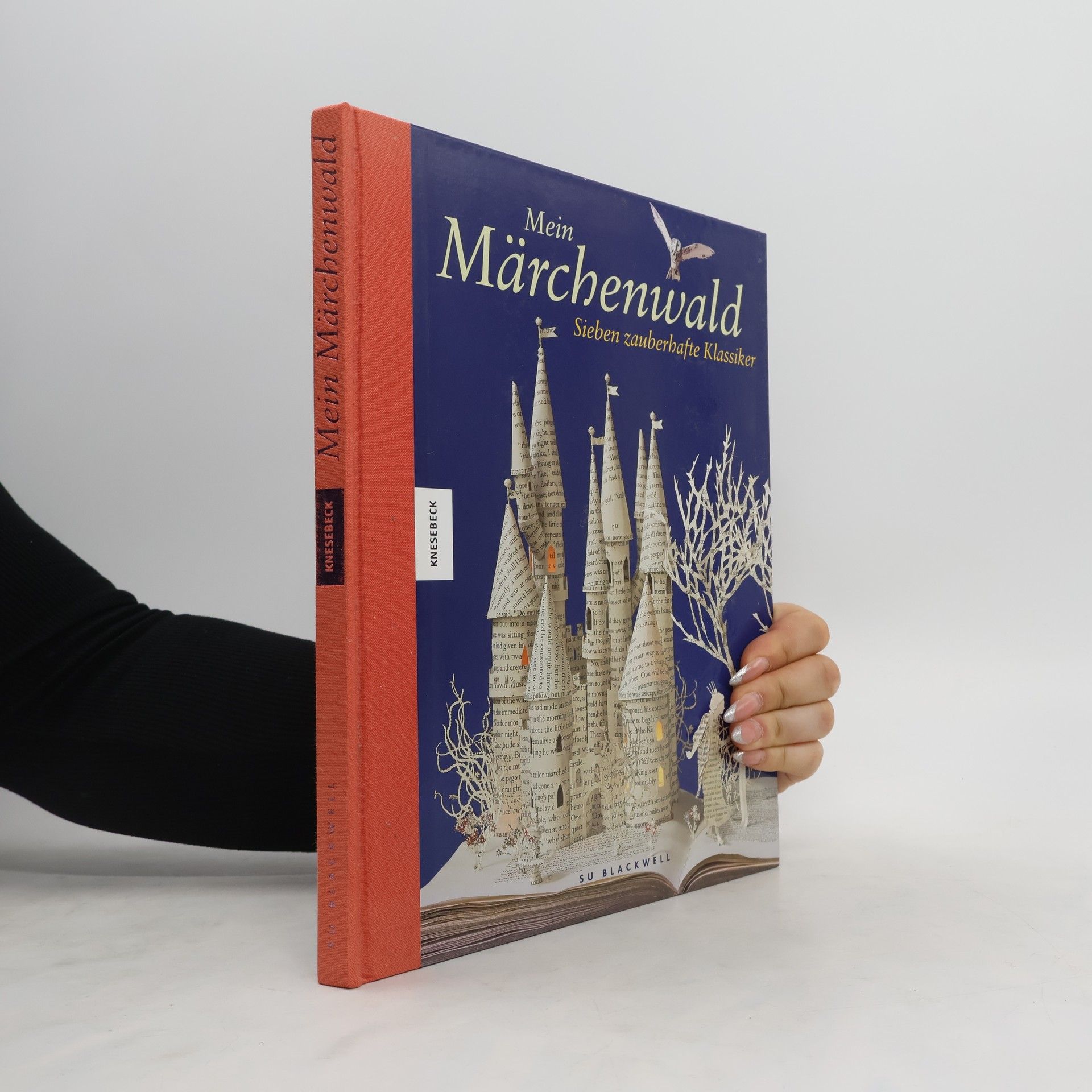 Wendy Jones Mein Märchenwald. Sieben zauberhafte Klassiker