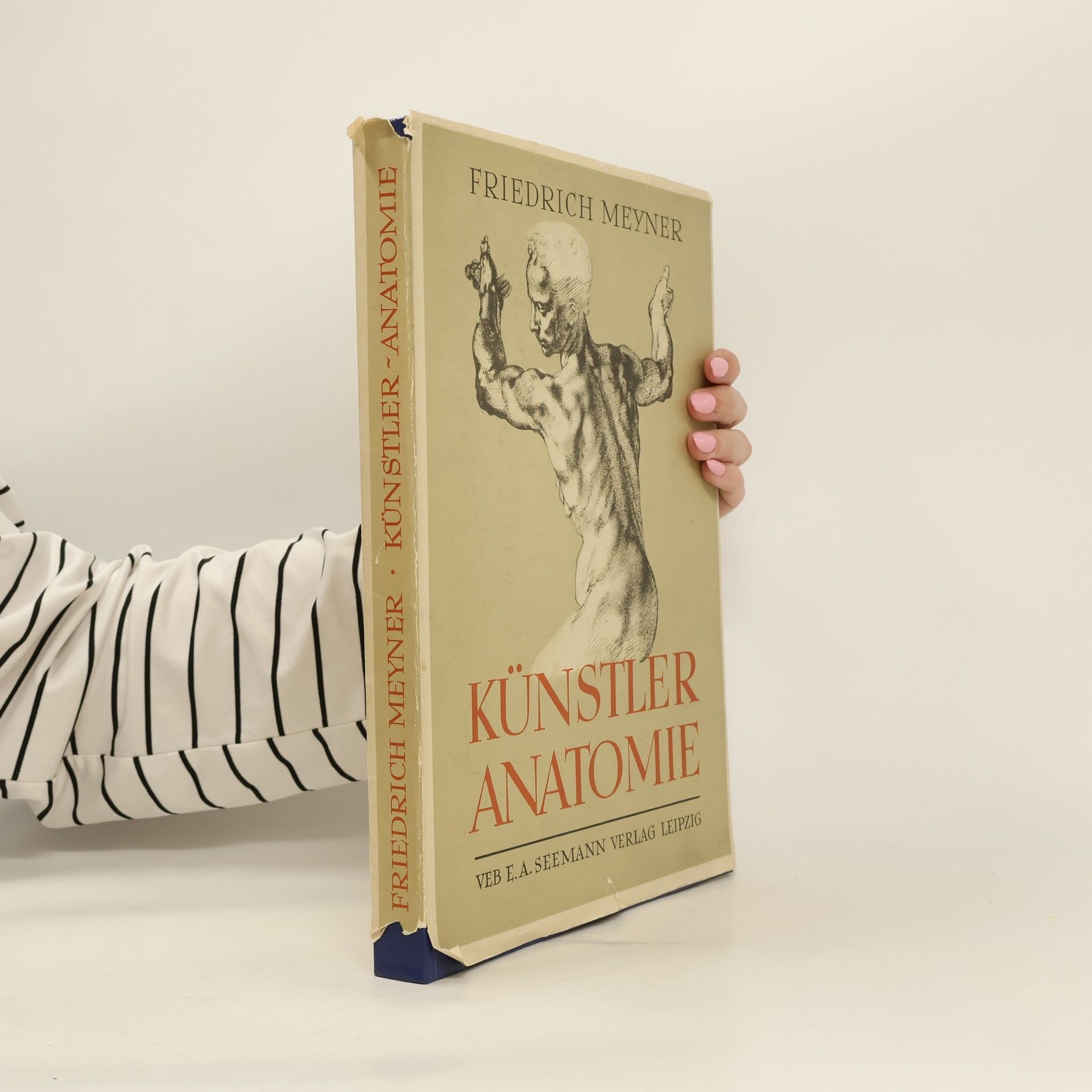 Friedrich Meyner Künstler anatomie