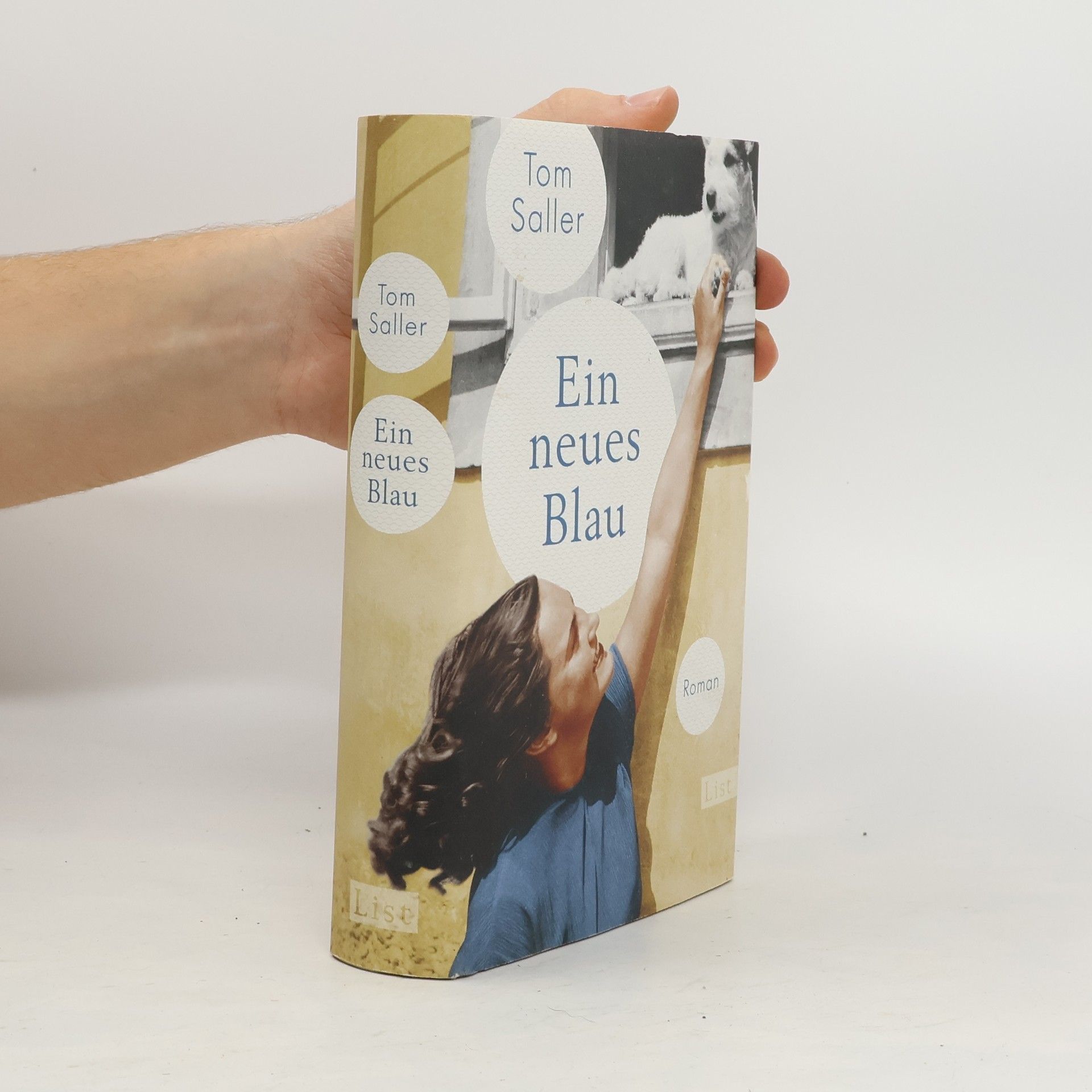 Tom Saller Ein neues Blau
