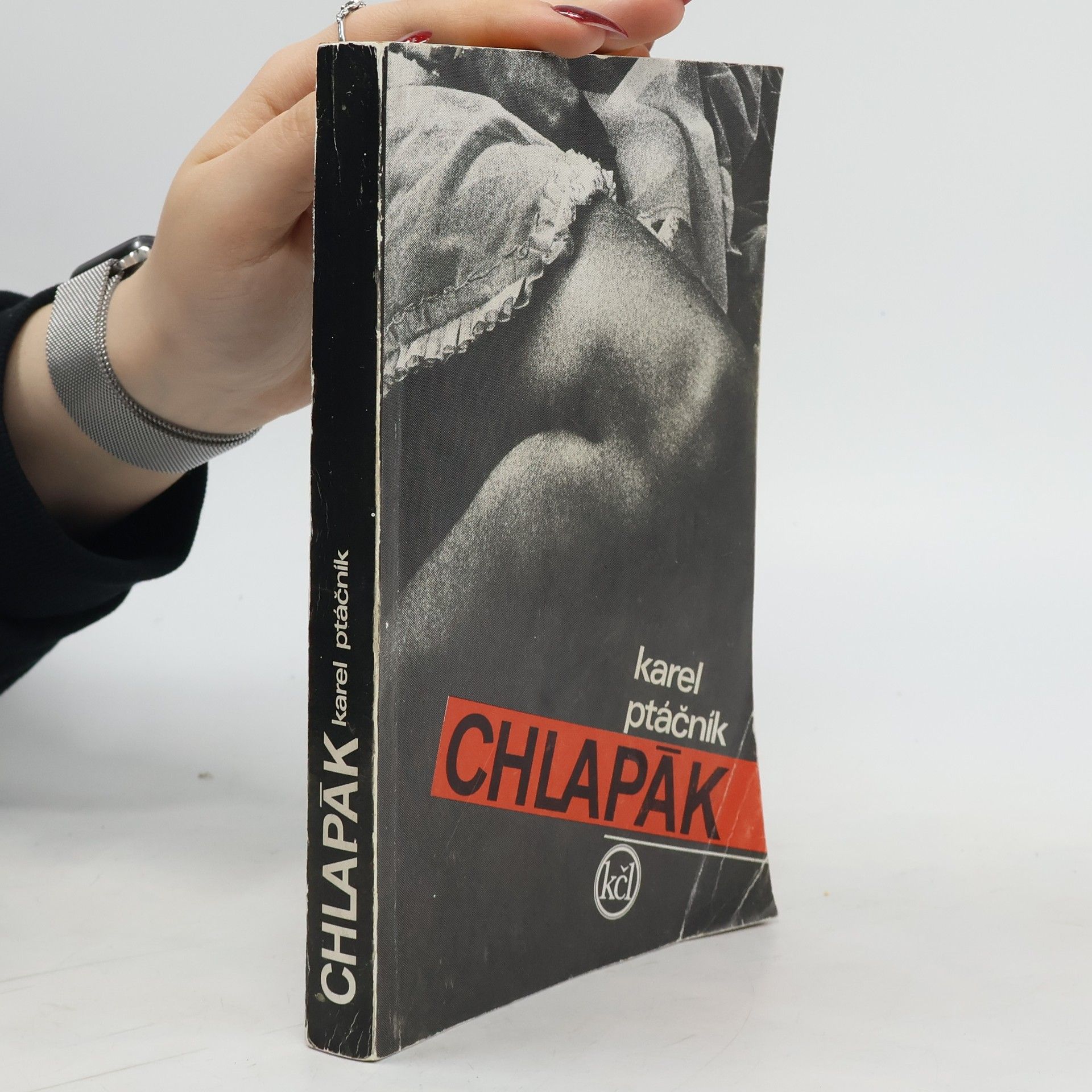 Karel Ptáčník Chlapák