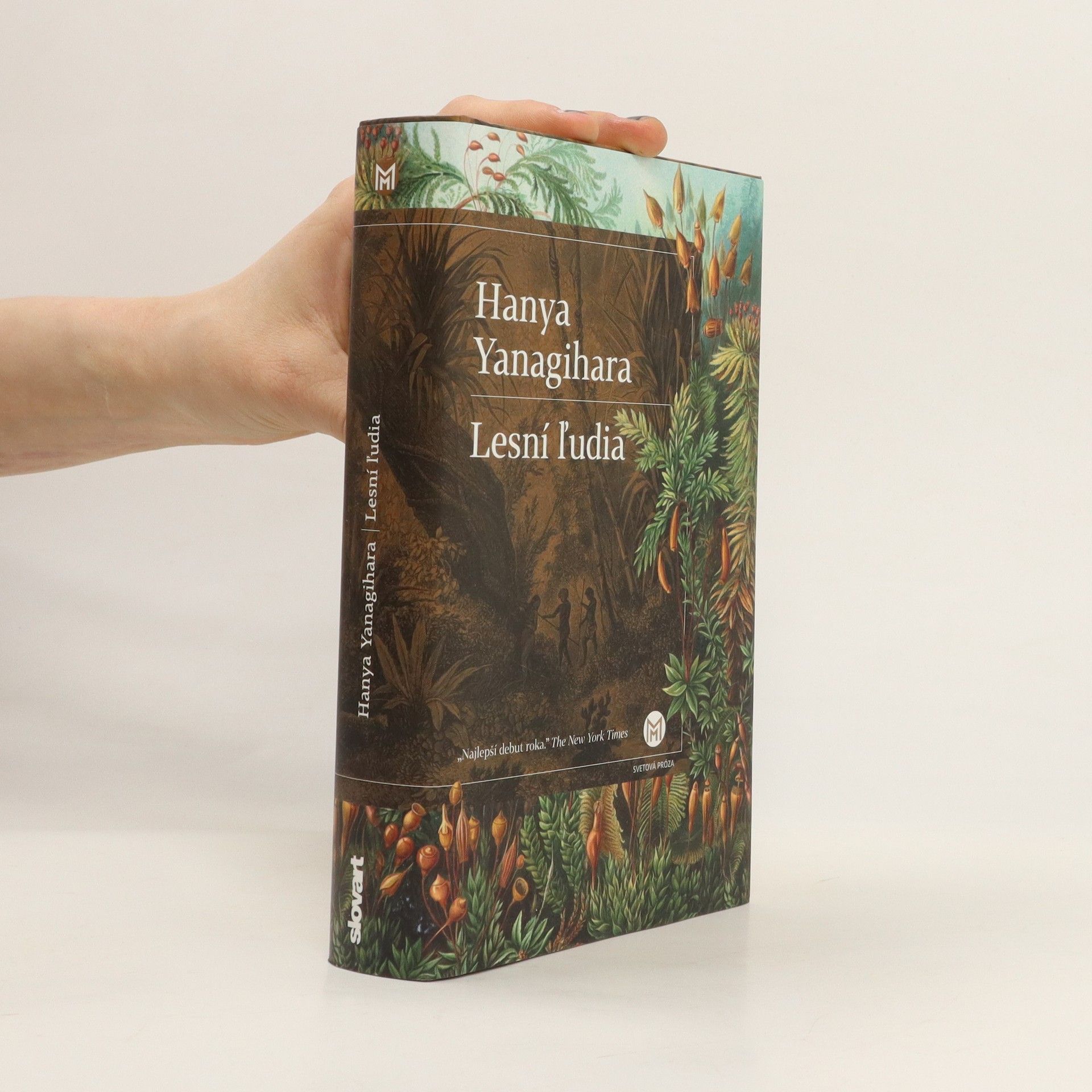 Hanya Yanagihara Lesní ľudia