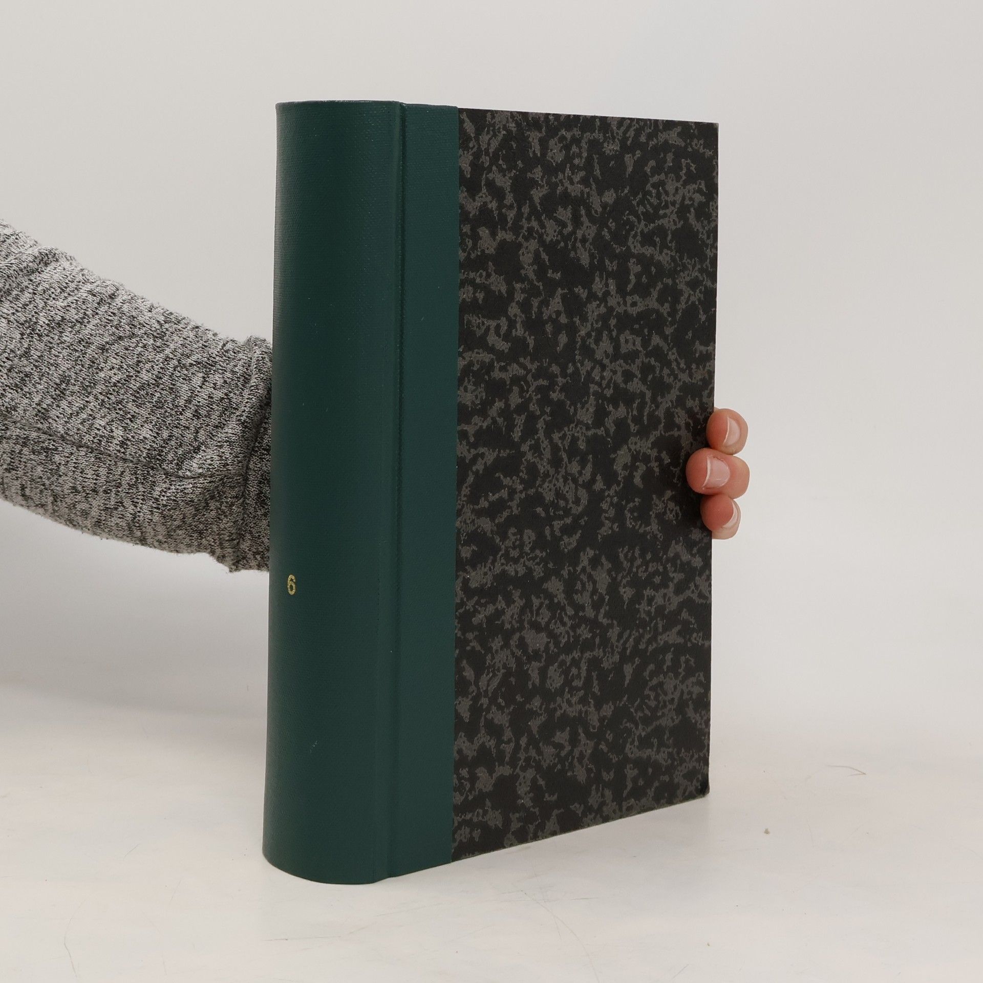 Collectif d'auteurs Monumenta Alcuiniana