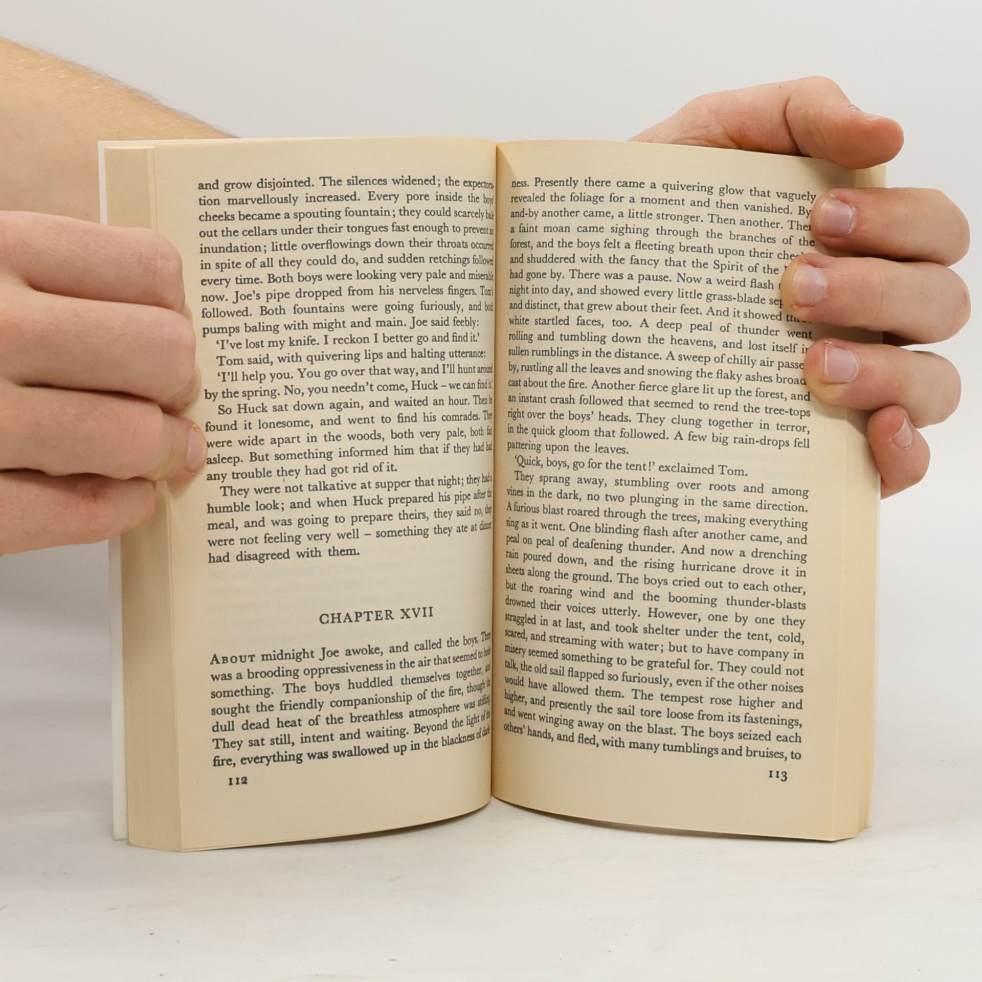 Mark Twain The adventures of Tom Sawyer