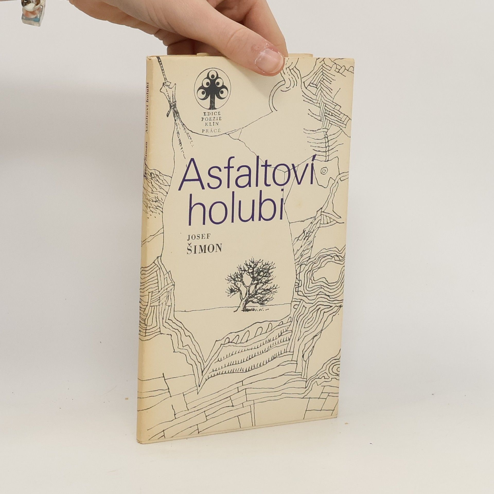 Josef Šimon Asfaltoví holubi