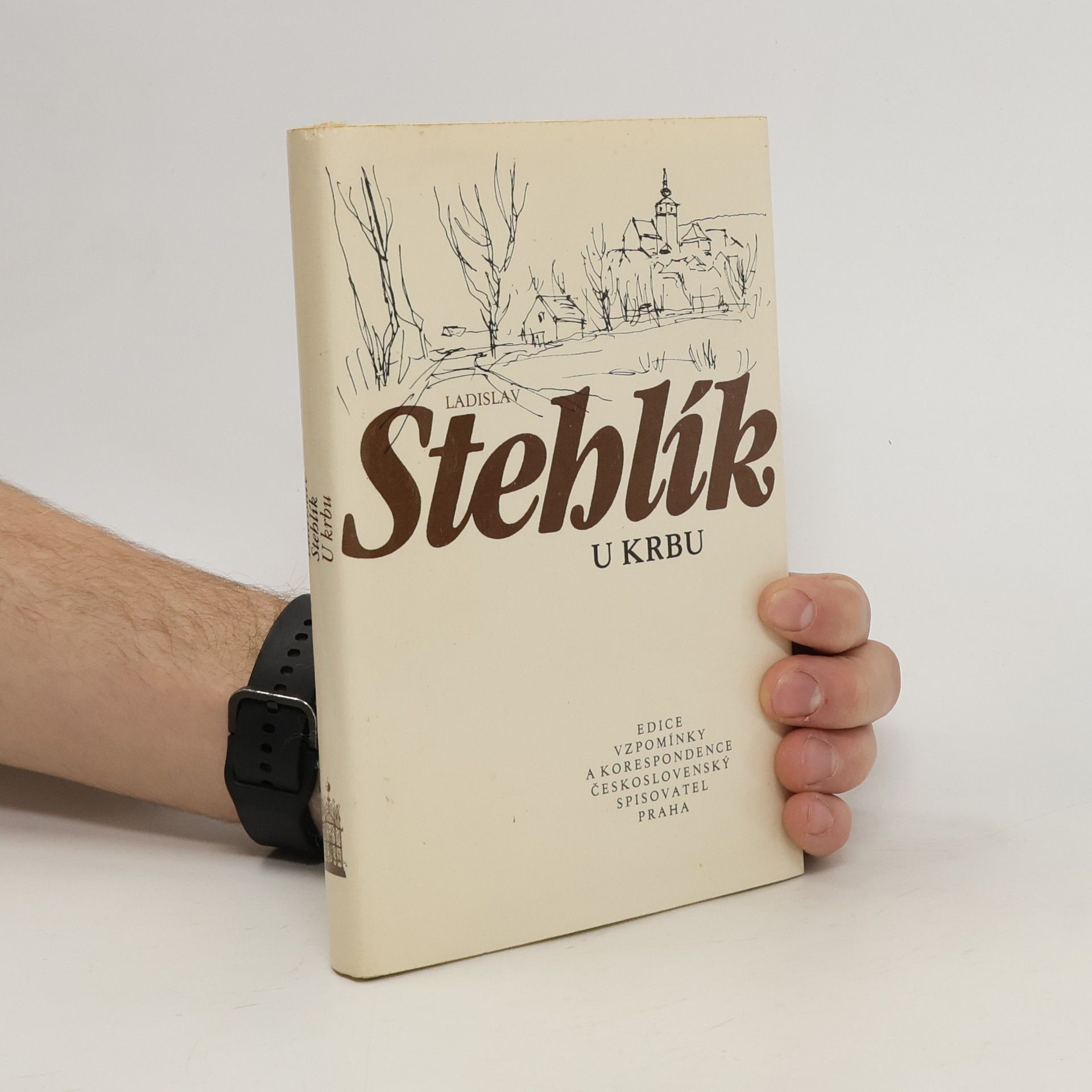 Ladislav Stehlík U krbu