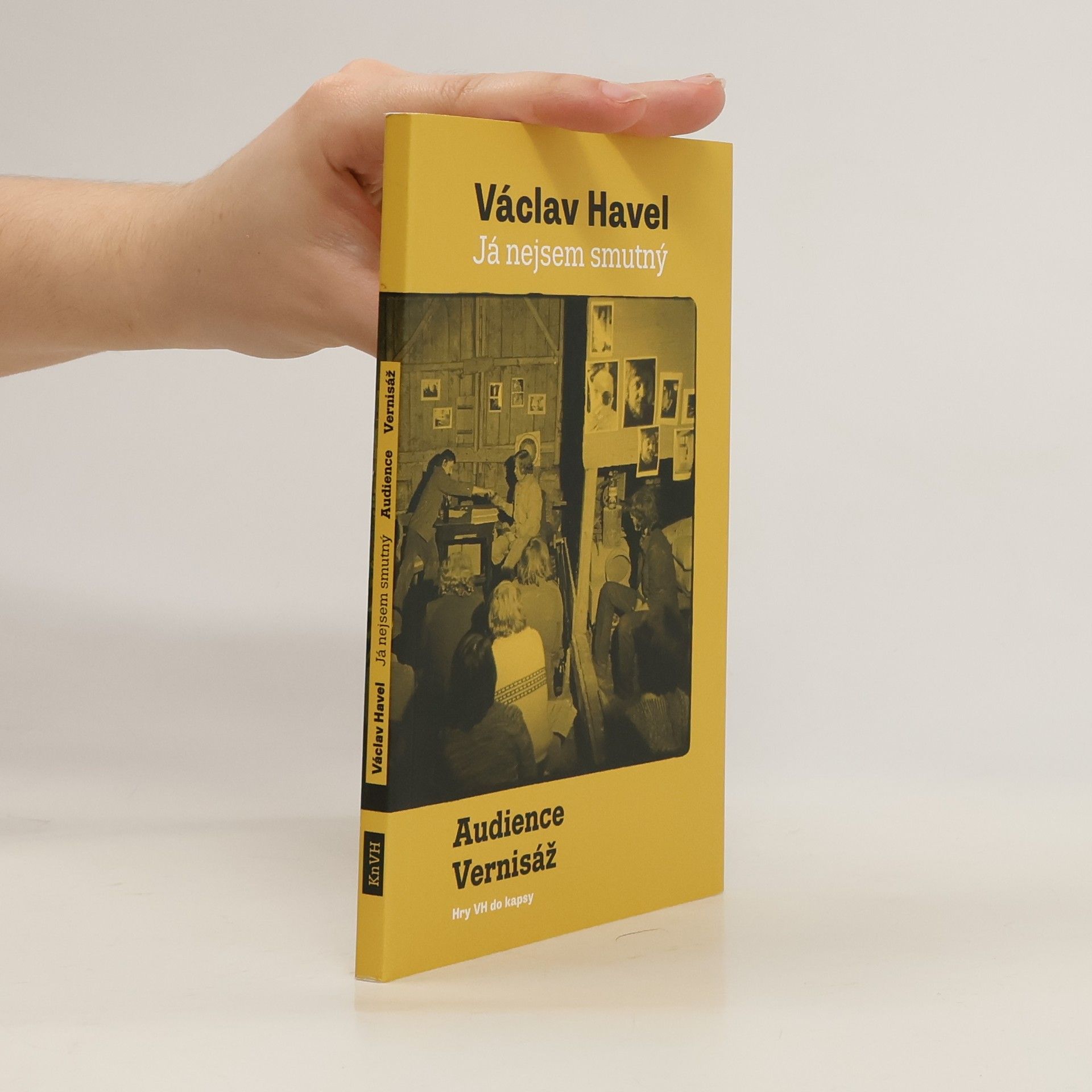 Václav Havel Já nejsem smutný: Audience, Vernisáž