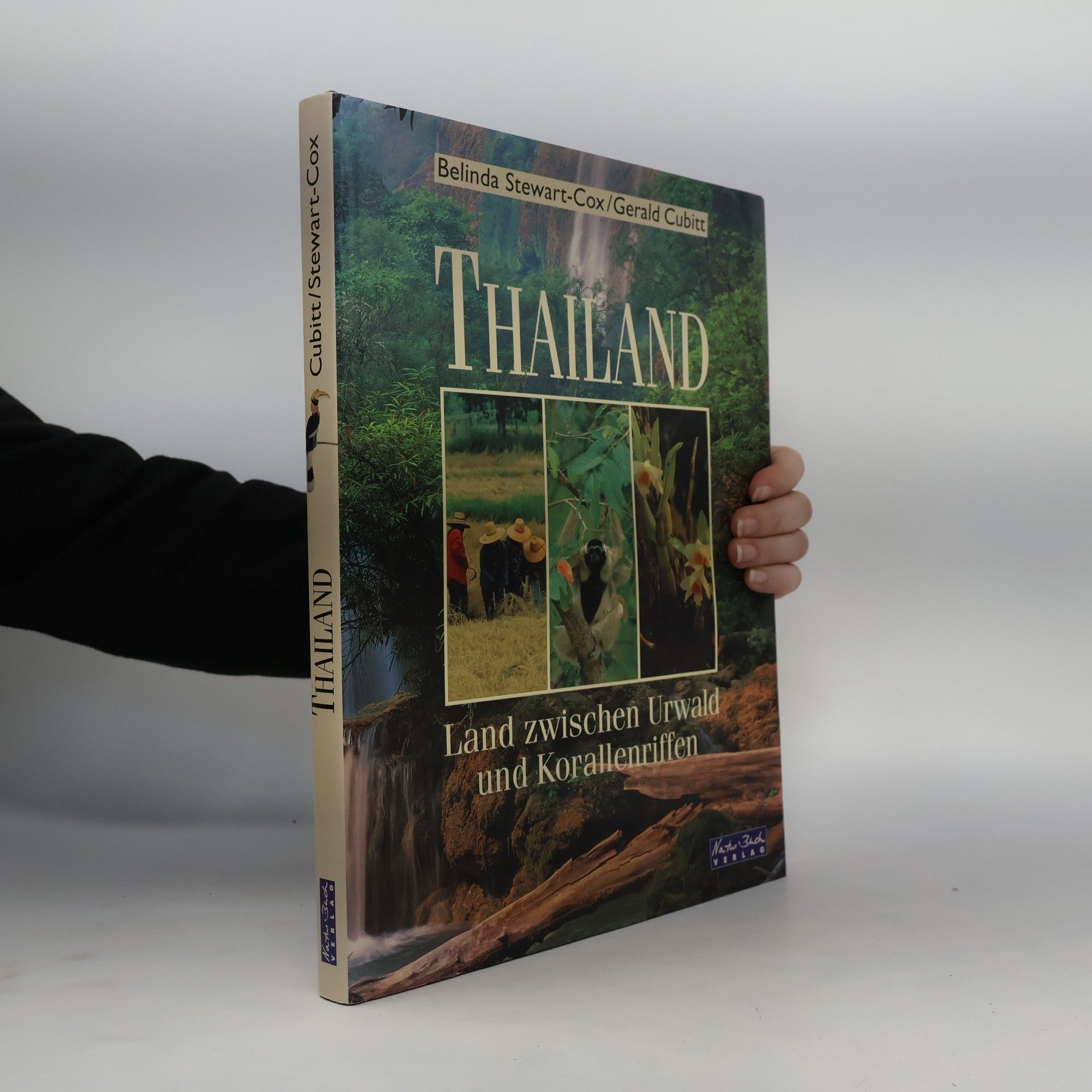 Gerald Cubitt Thailand